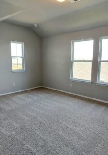1321 Burin Dr Property Photo 14