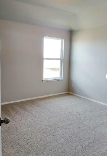 1321 Burin Dr Property Photo 15