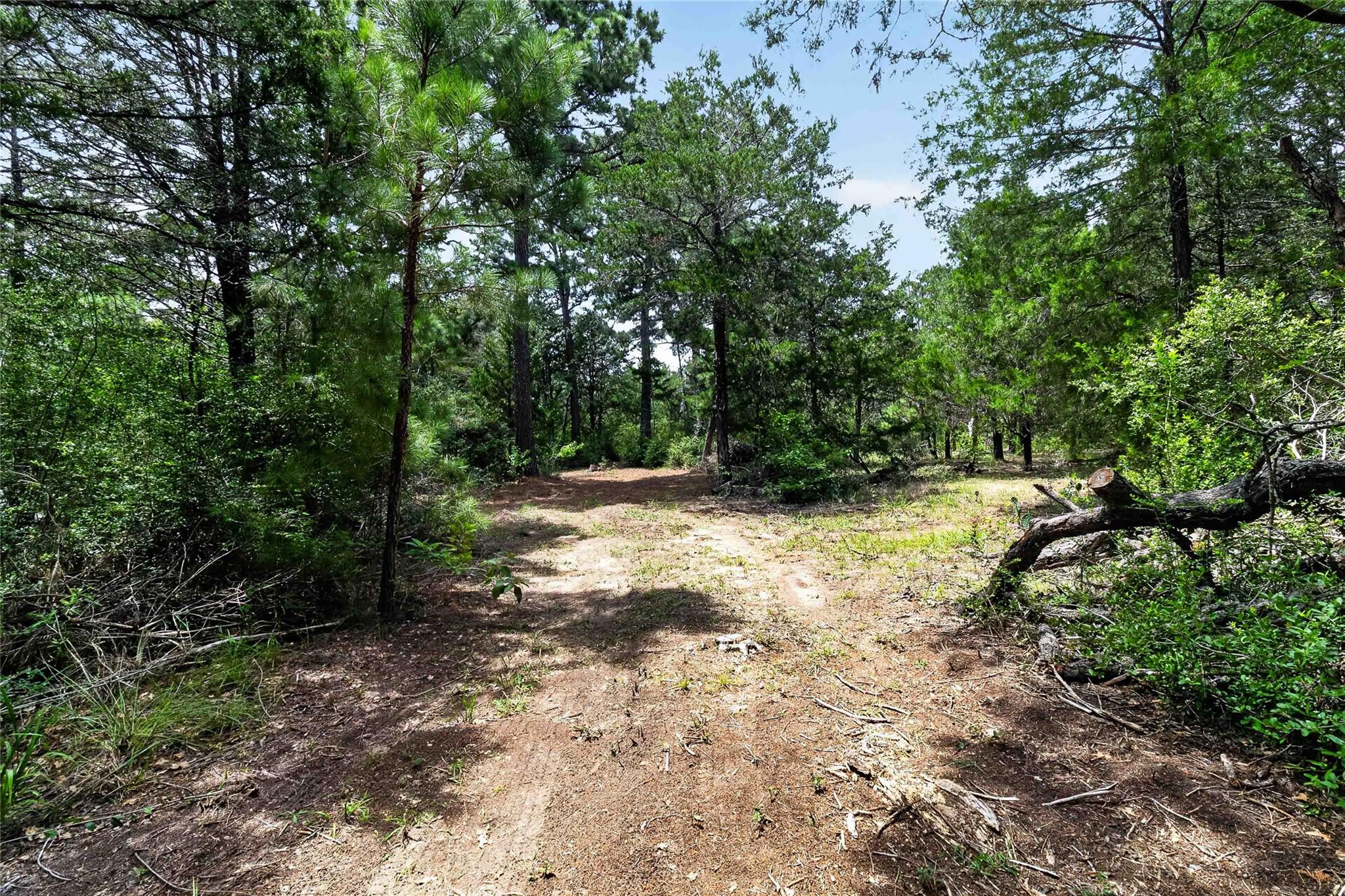 Tbd Gotier Trace Rd Property Photo 7
