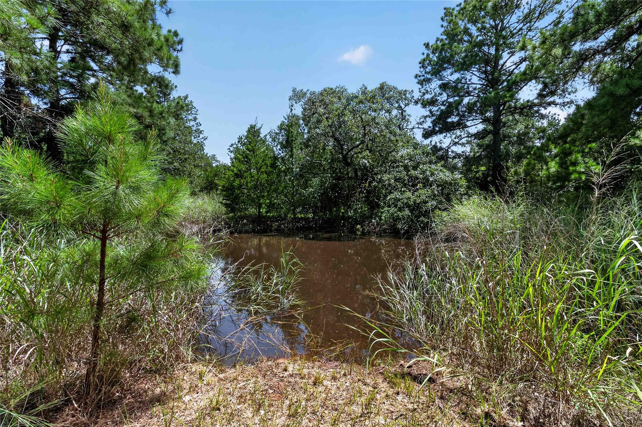 Tbd Gotier Trace Rd Property Photo 9