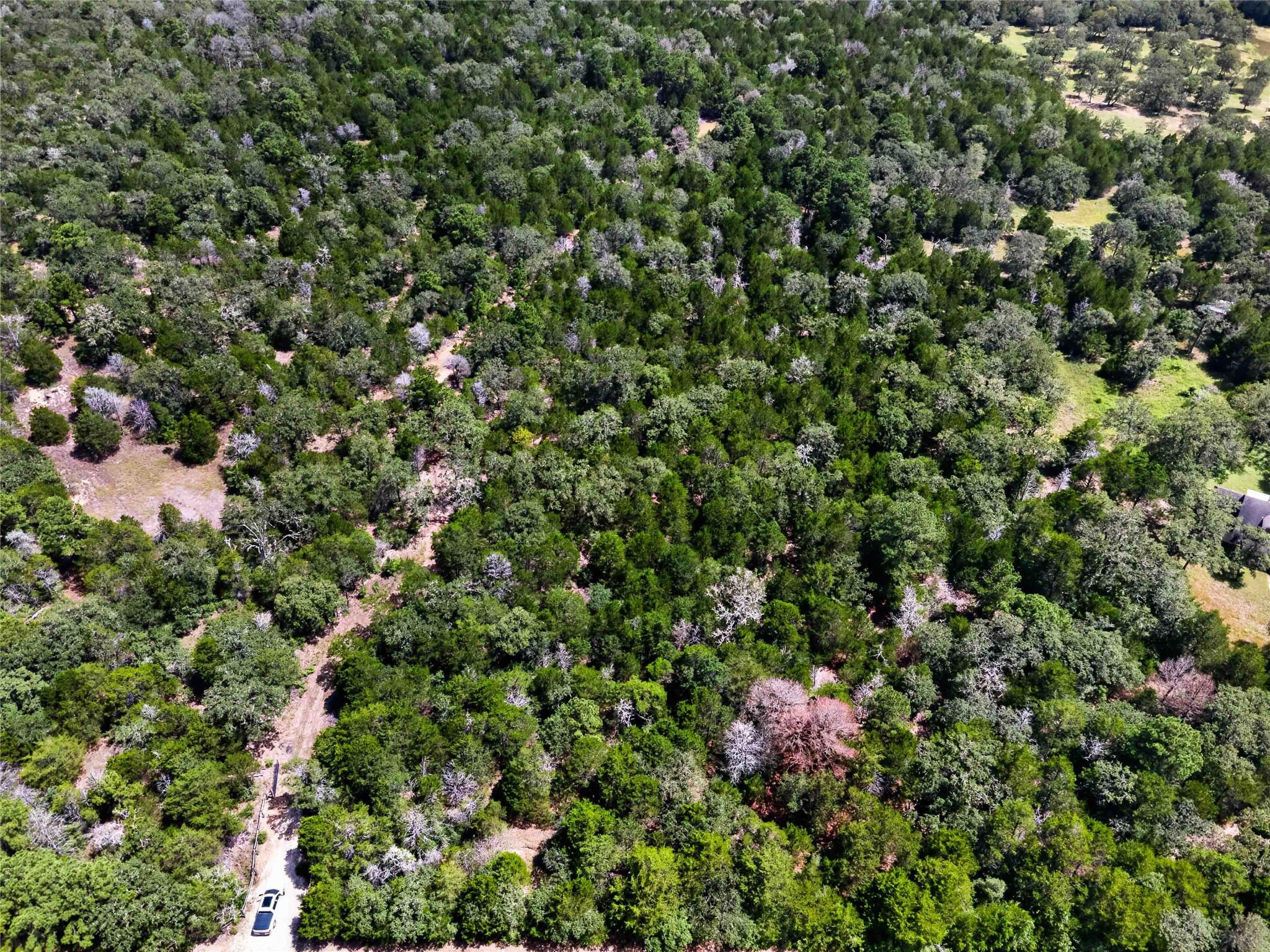 Tbd Gotier Trace Rd Property Photo 19