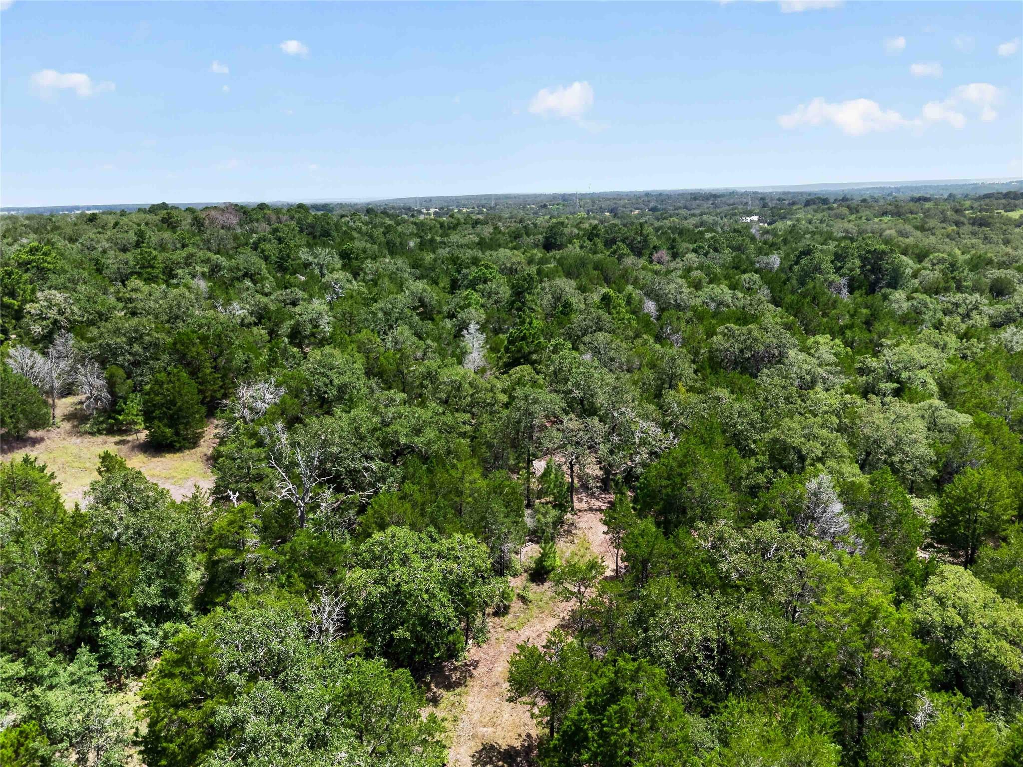 Tbd Gotier Trace Rd Property Photo 20