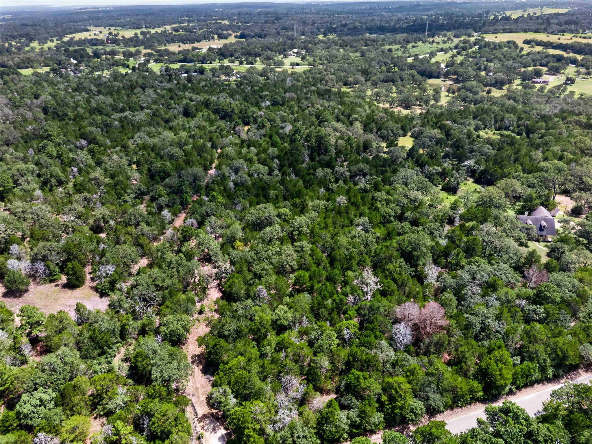 Tbd Gotier Trace Rd Property Photo 21