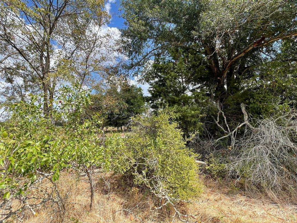281 E Fm 979 None Property Photo 4