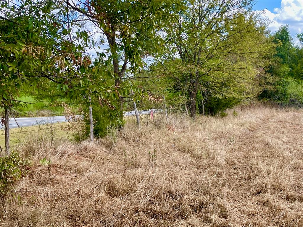 281 E Fm 979 None Property Photo 6