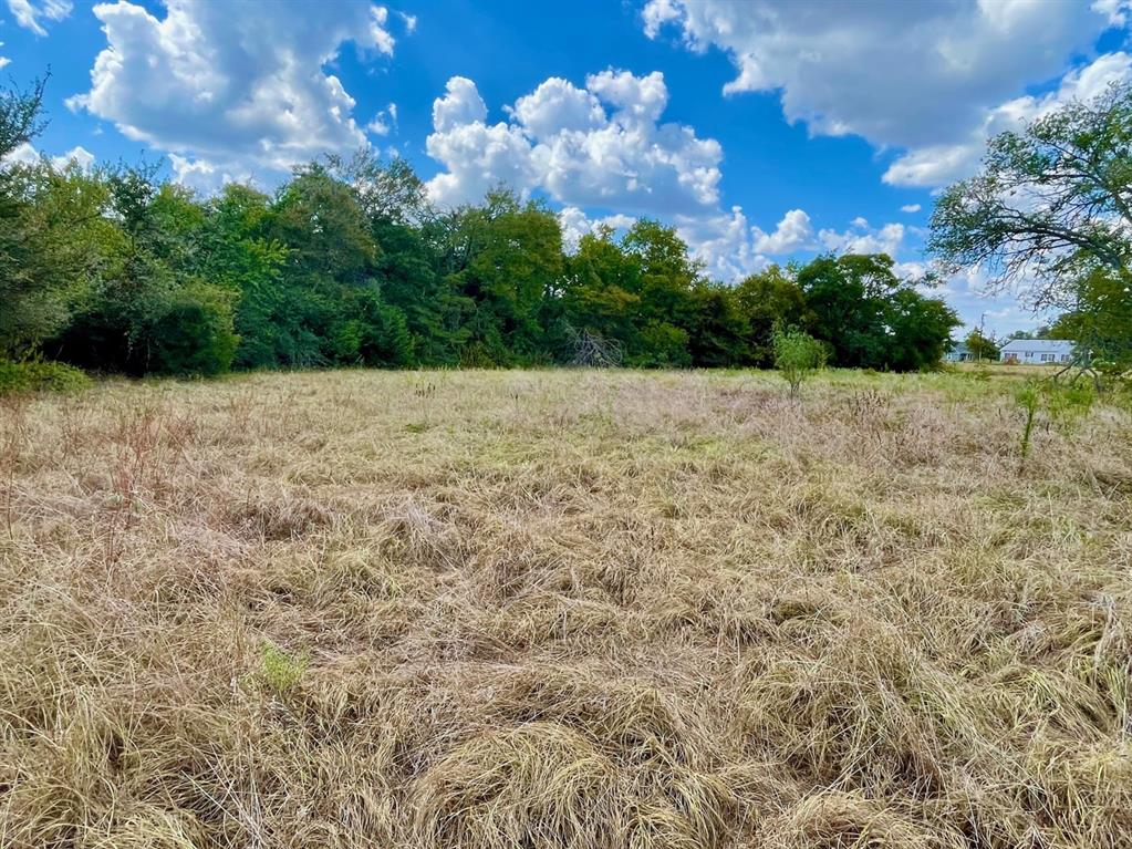 281 E Fm 979 None Property Photo 7