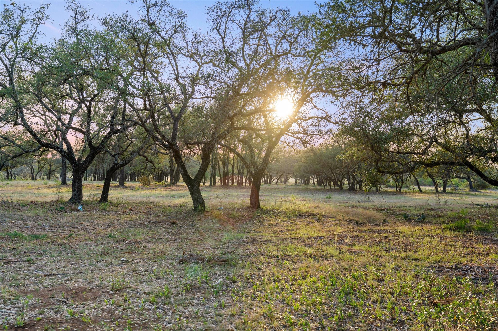 10 Pedernales Canyon Trl Property Photo 6