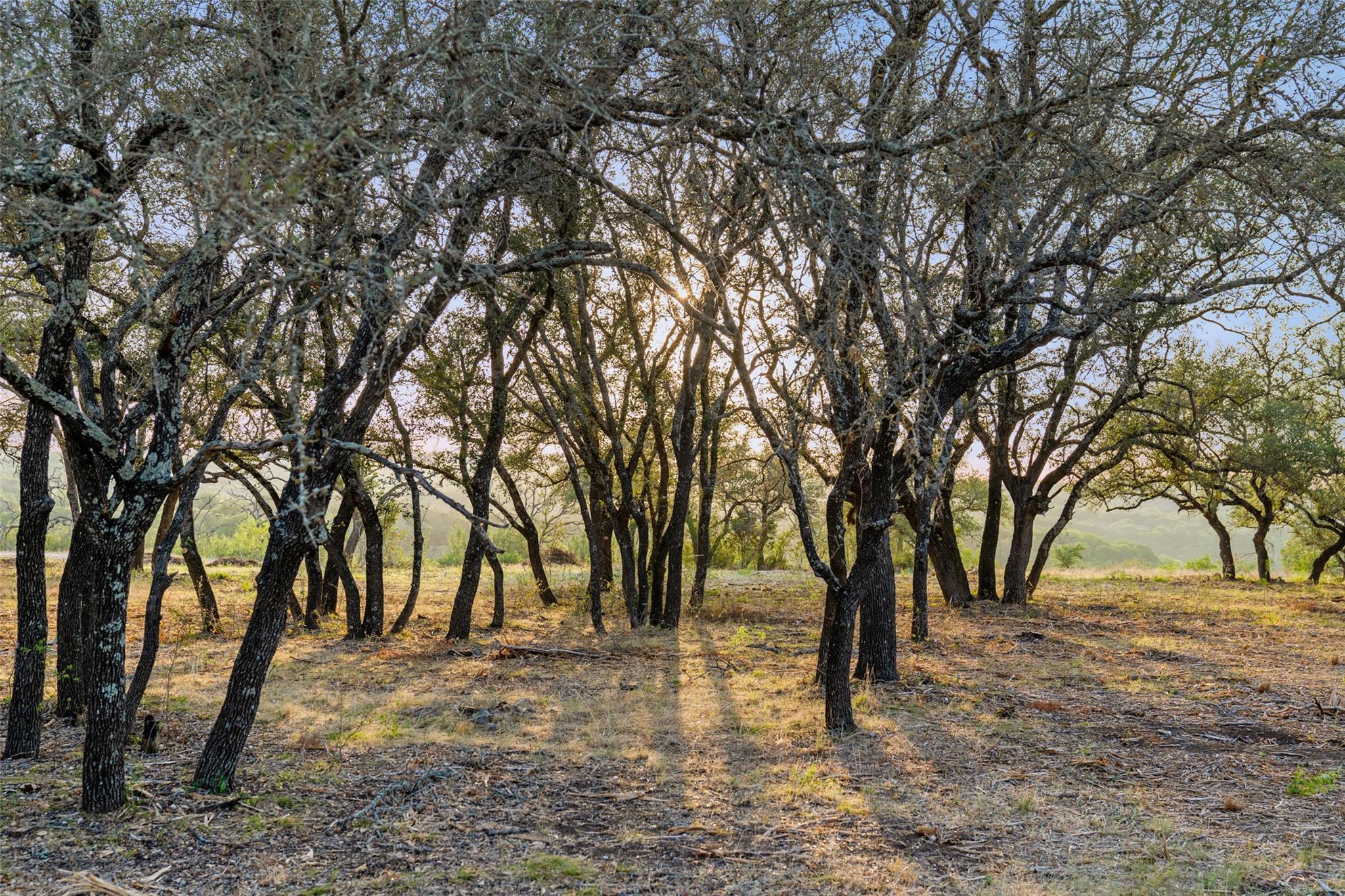 10 Pedernales Canyon Trl Property Photo 8