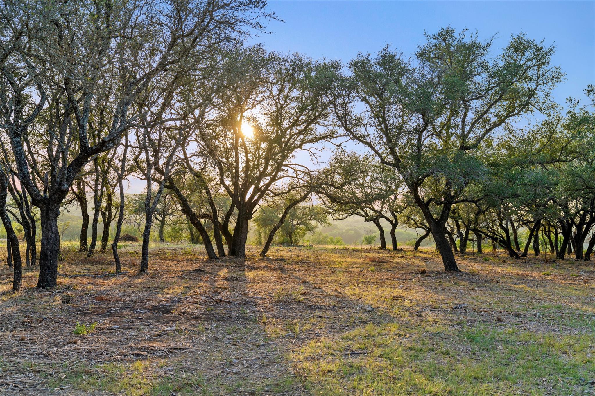 10 Pedernales Canyon Trl Property Photo 9