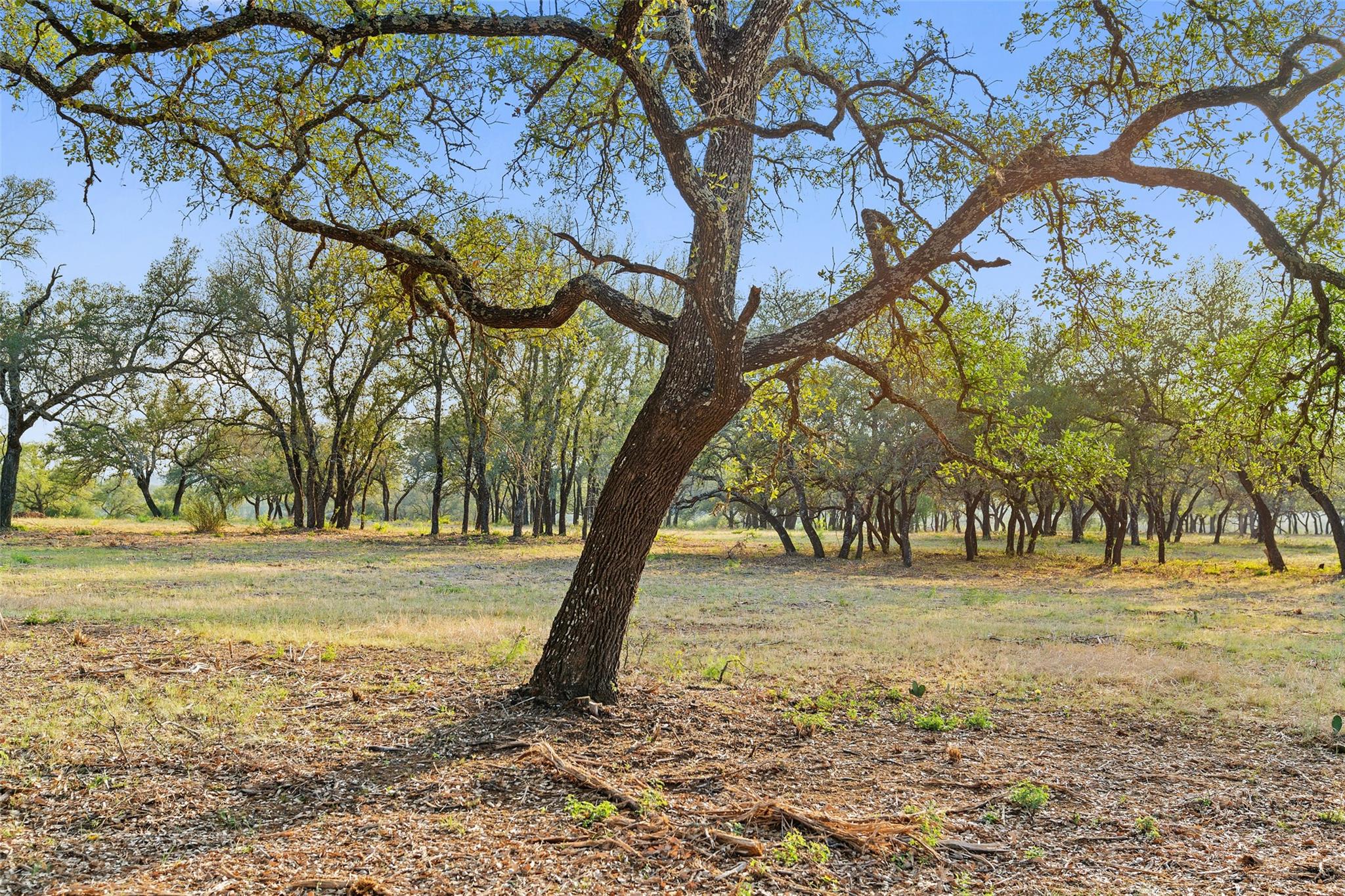 10 Pedernales Canyon Trl Property Photo 24