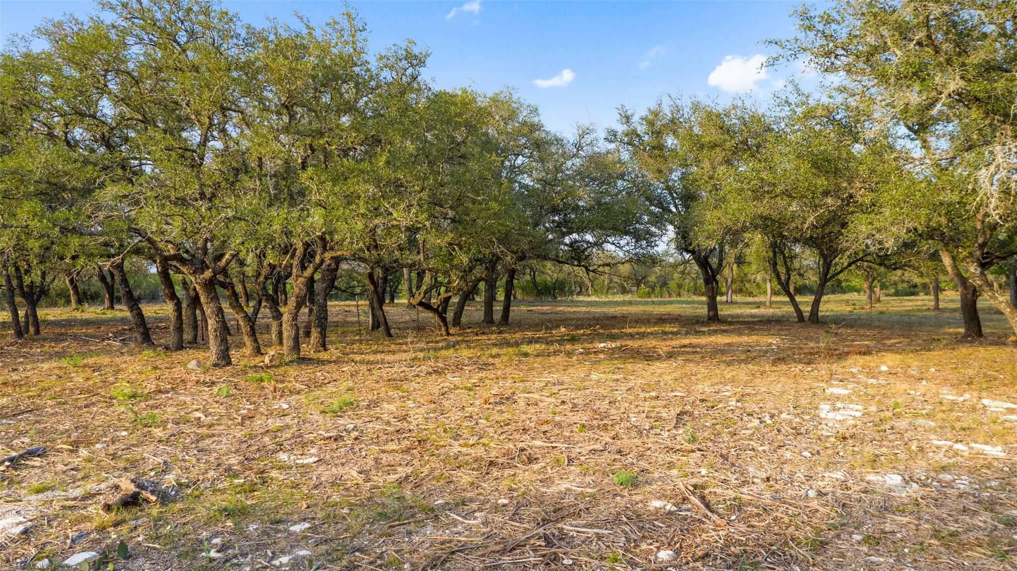 10 Pedernales Canyon Trl Property Photo 26