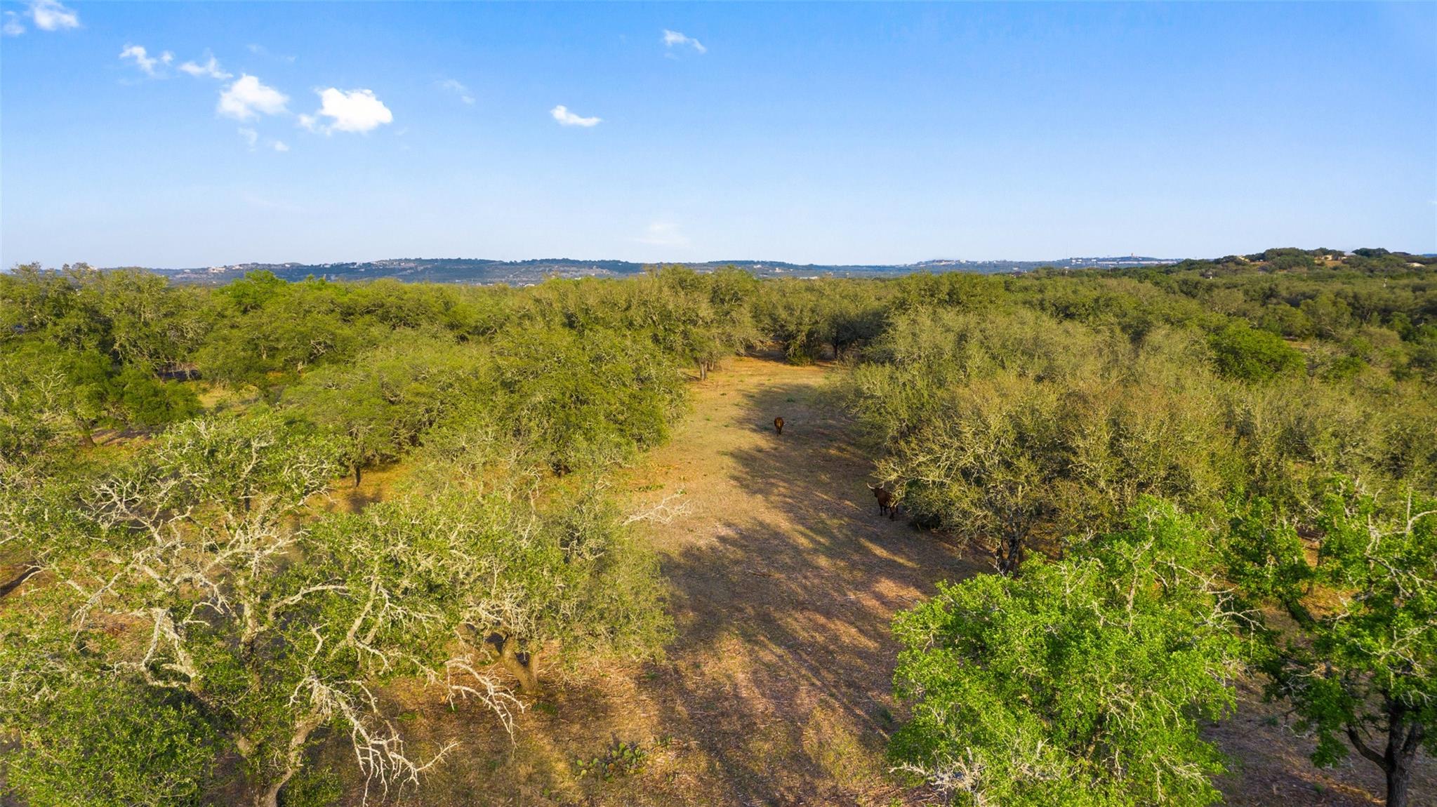 10 Pedernales Canyon Trl Property Photo 27