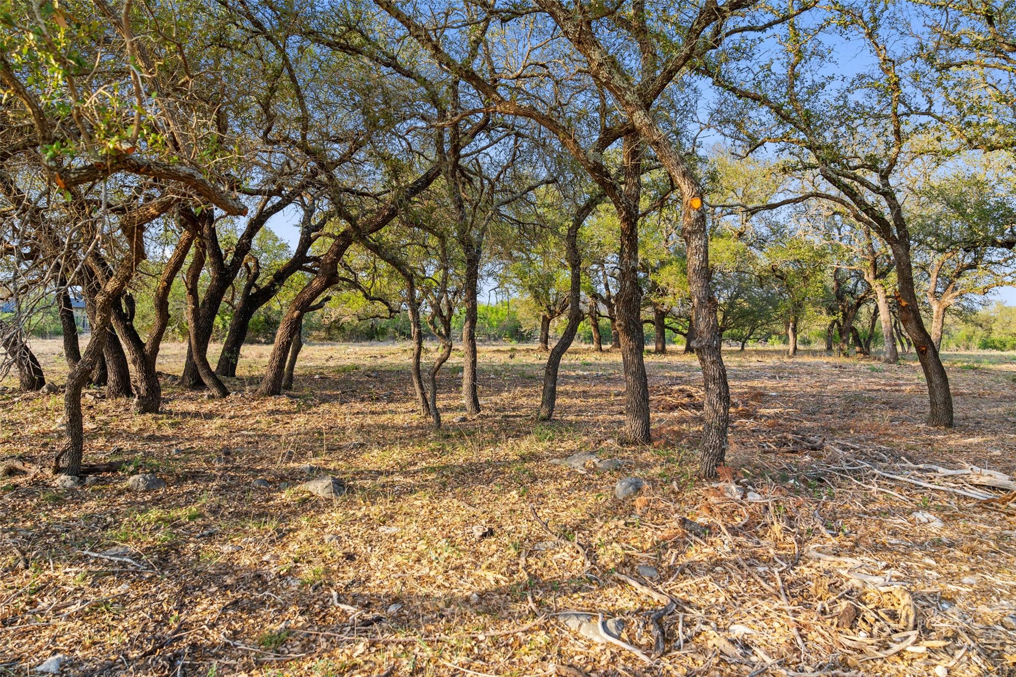 10 Pedernales Canyon Trl Property Photo 28