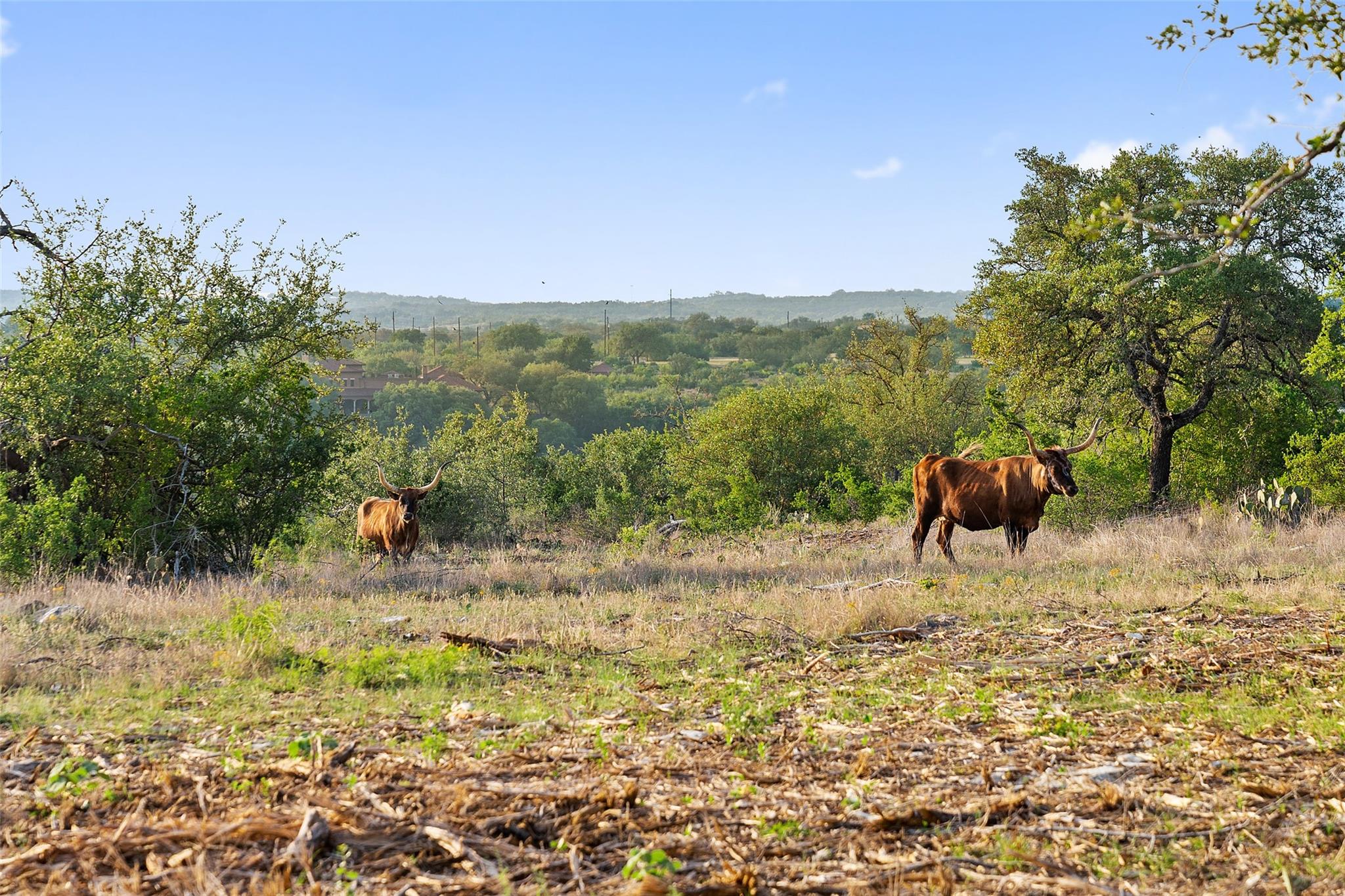 10 Pedernales Canyon Trl Property Photo 31