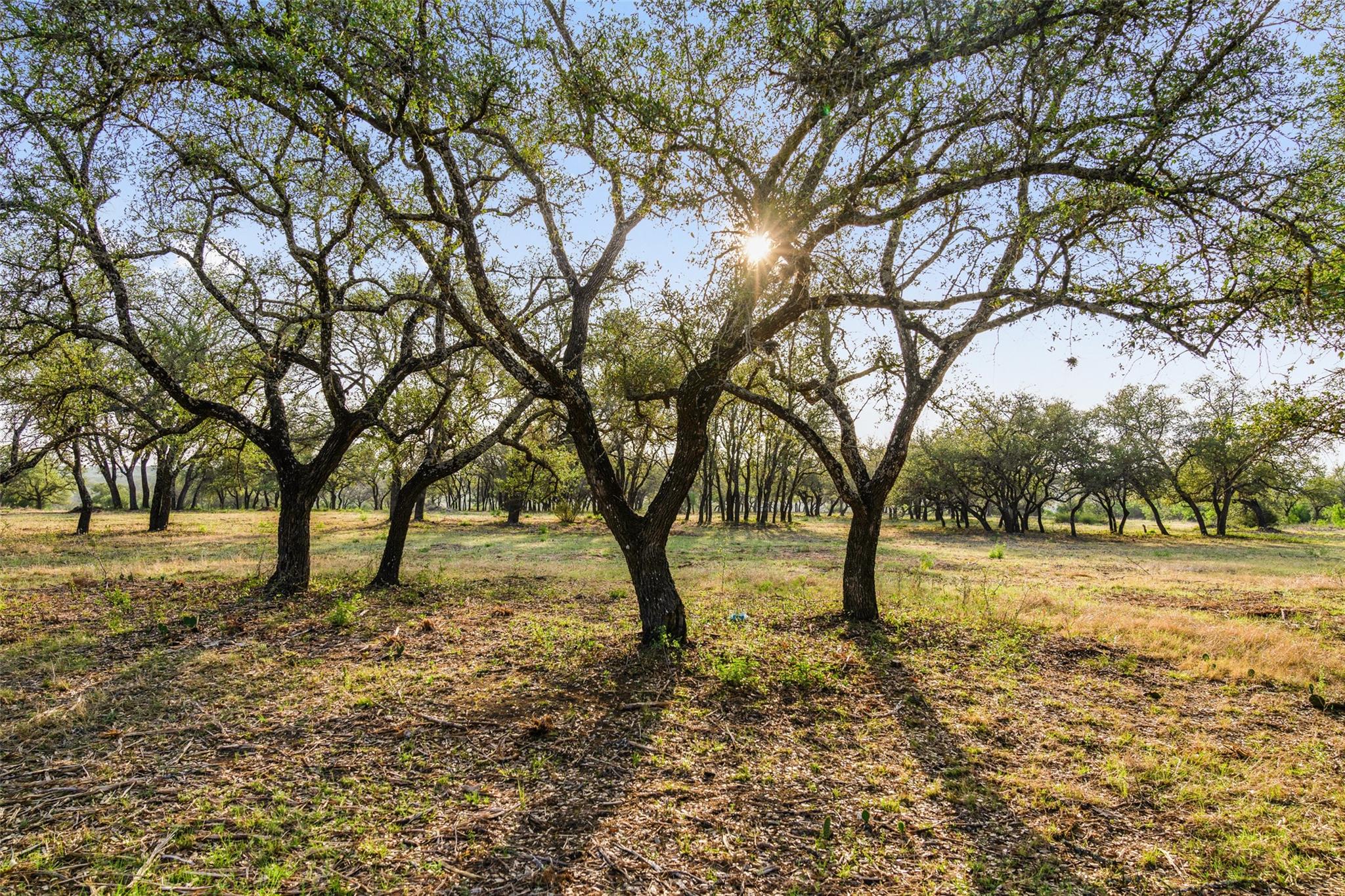 10 Pedernales Canyon Trl Property Photo 34