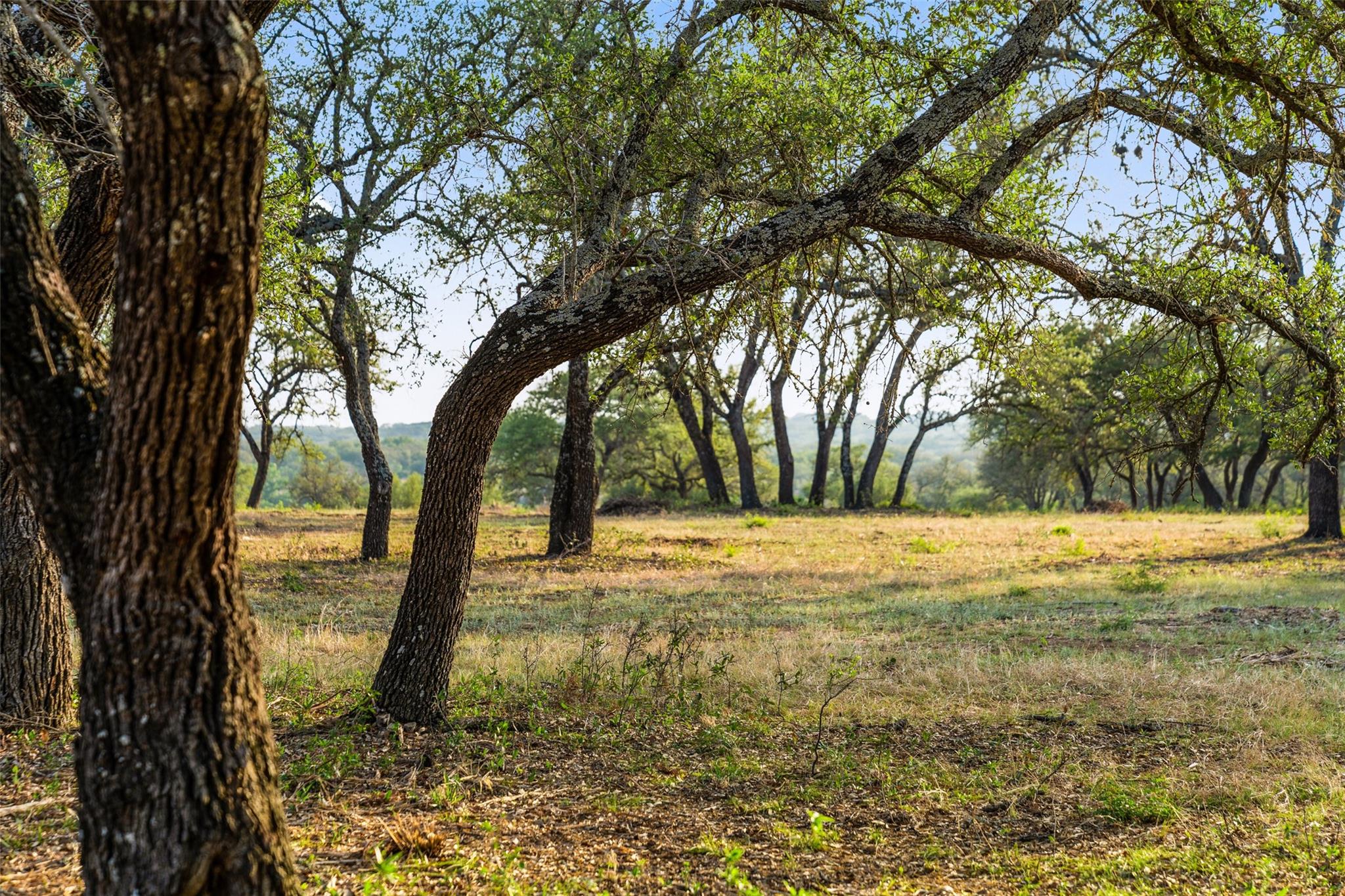 10 Pedernales Canyon Trl Property Photo 35
