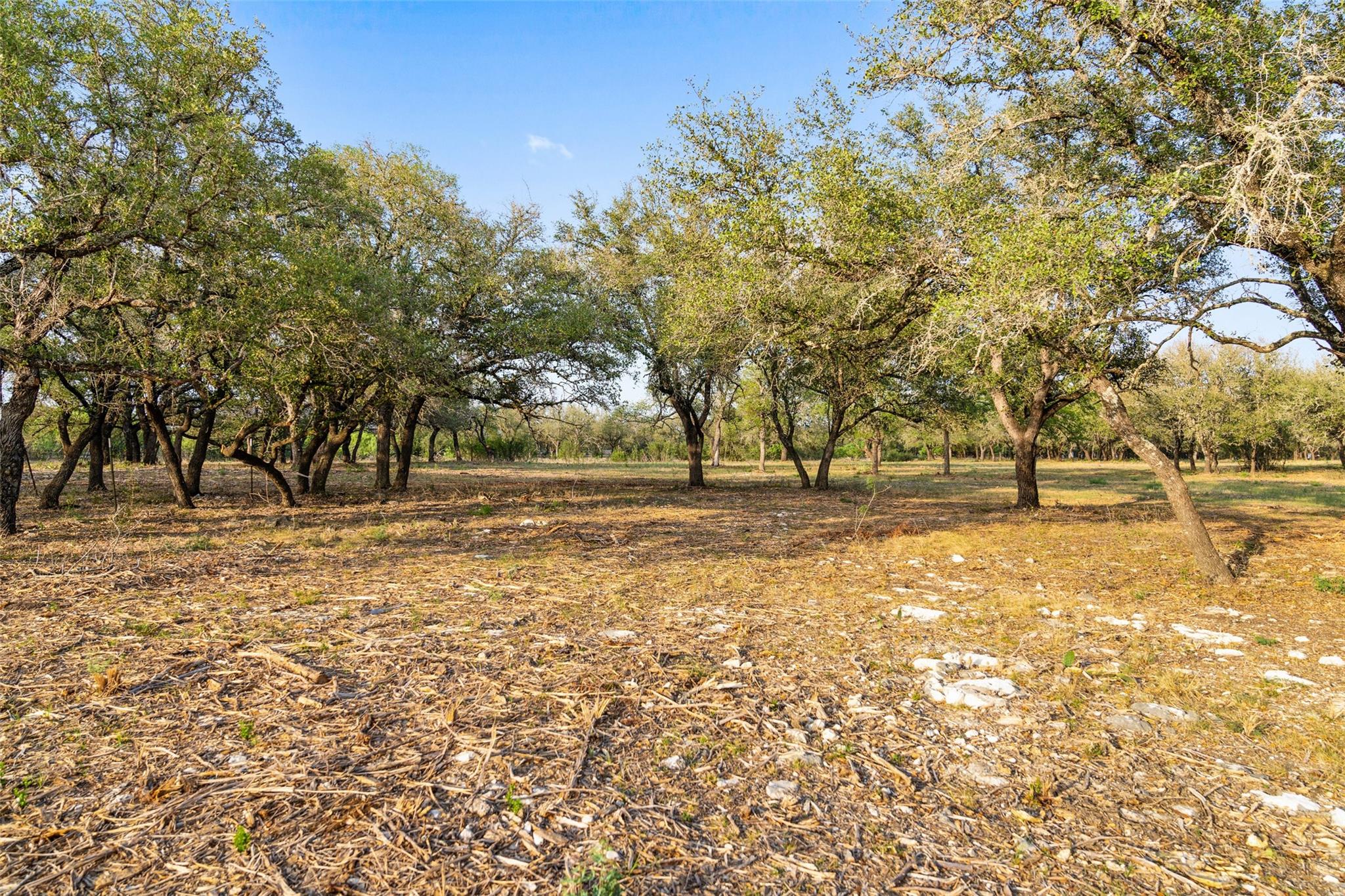 10 Pedernales Canyon Trl Property Photo 40