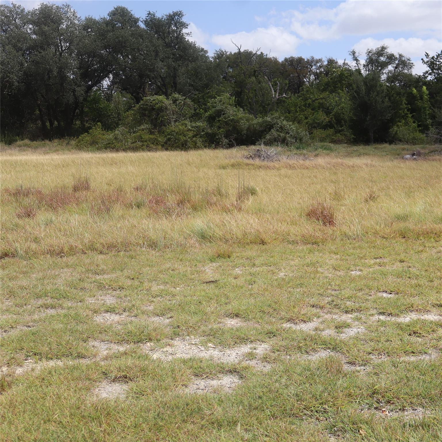 701 Rawhide Ln Property Photo 1