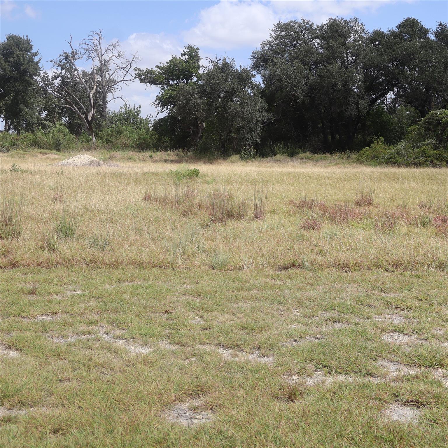 701 Rawhide Ln Property Photo 3