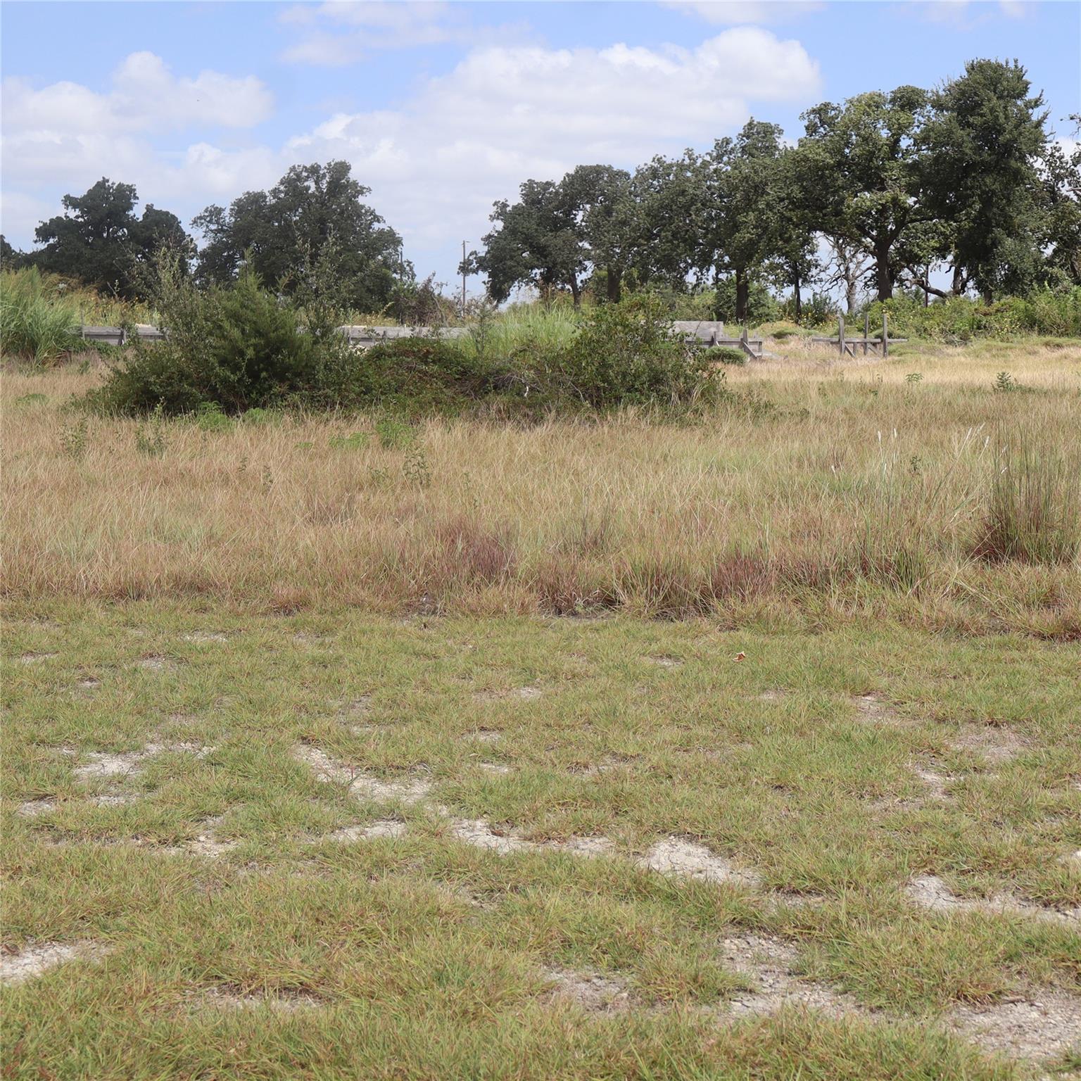 701 Rawhide Ln Property Photo 4