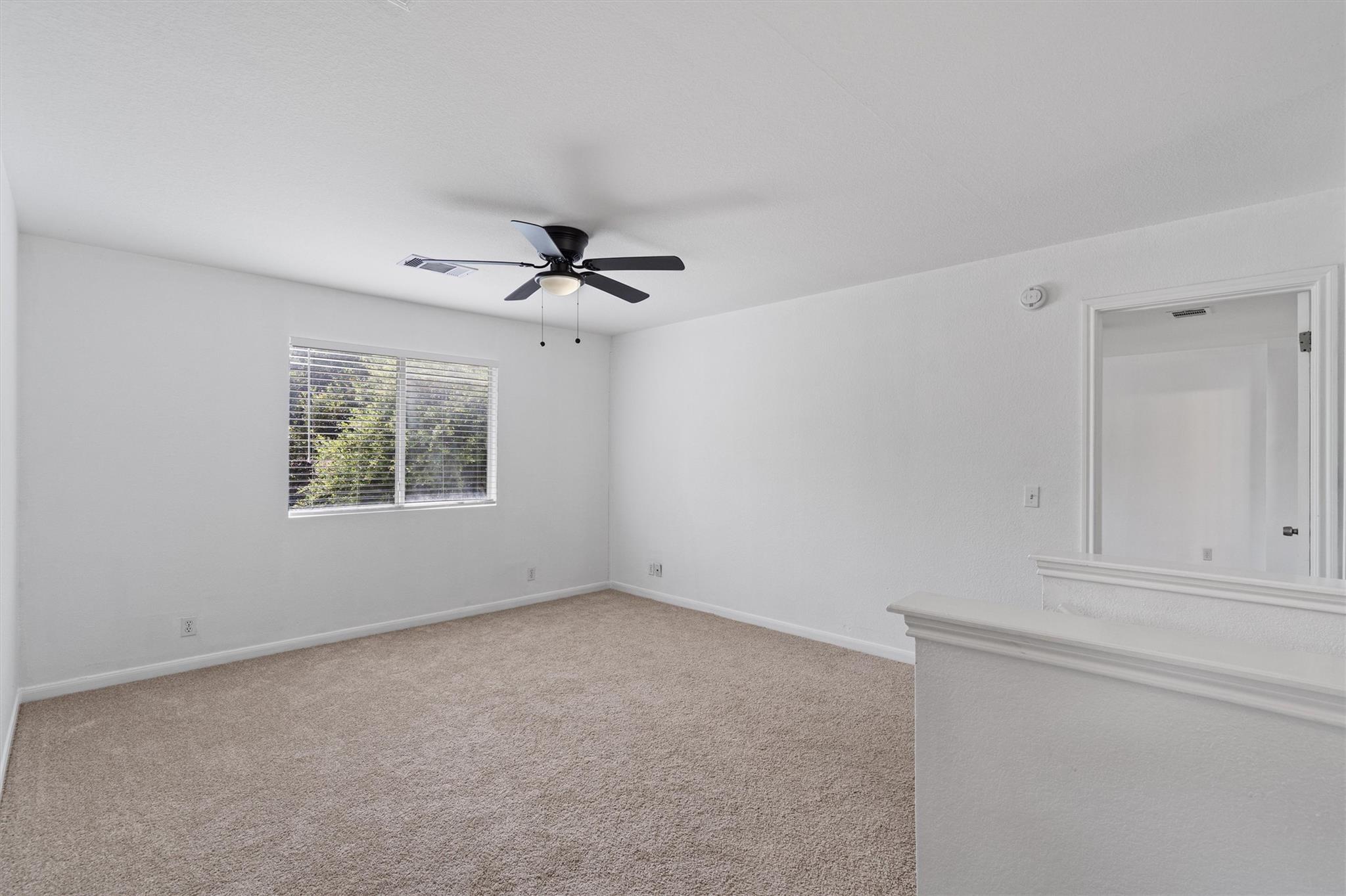 1623 War Horse Ln Property Photo 17