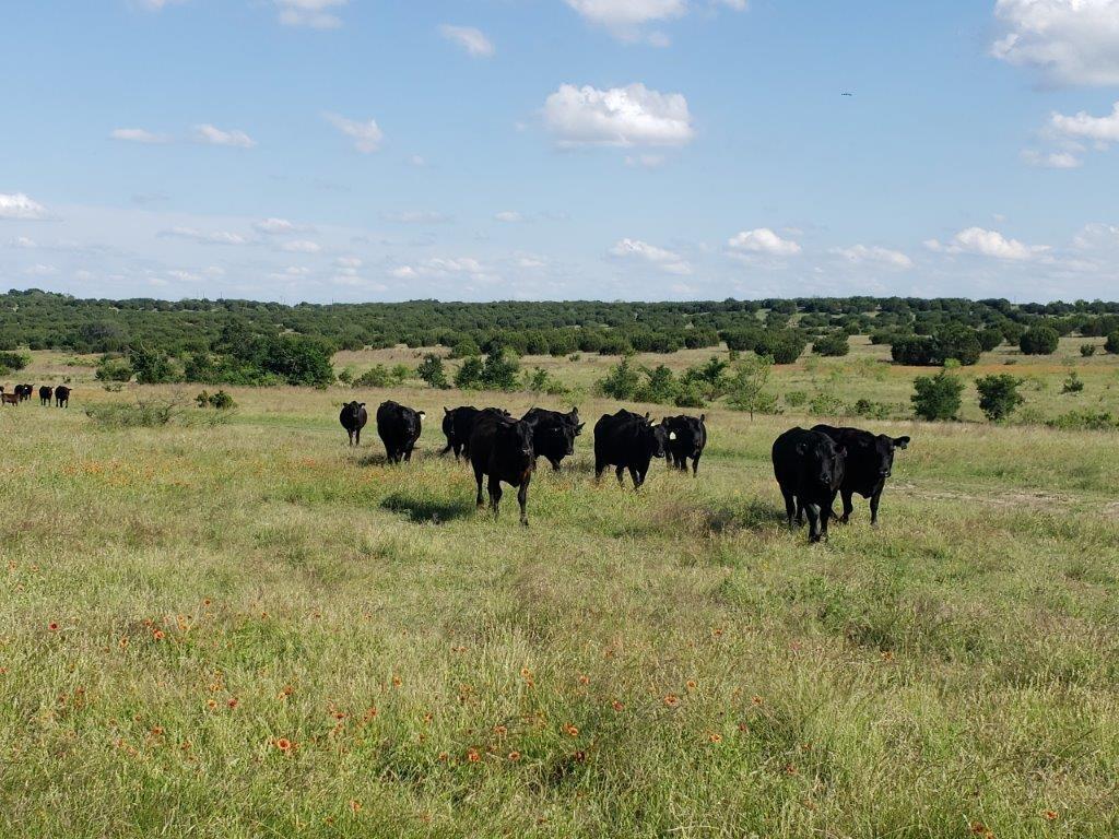 7947 Cr 1255 None Property Photo 16