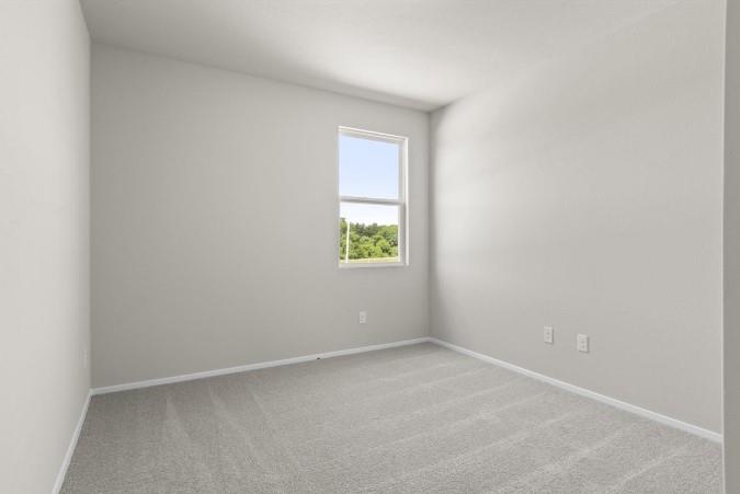 164 Linnet Ln Property Photo 15