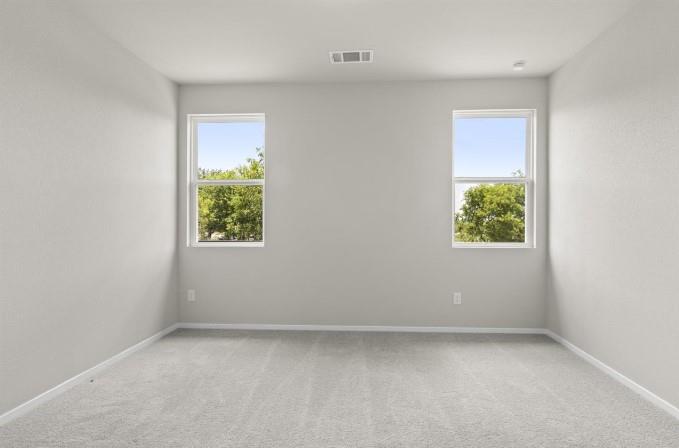 164 Linnet Ln Property Photo 18
