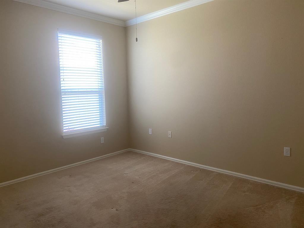 721 Independence Creek Ln Property Photo 21