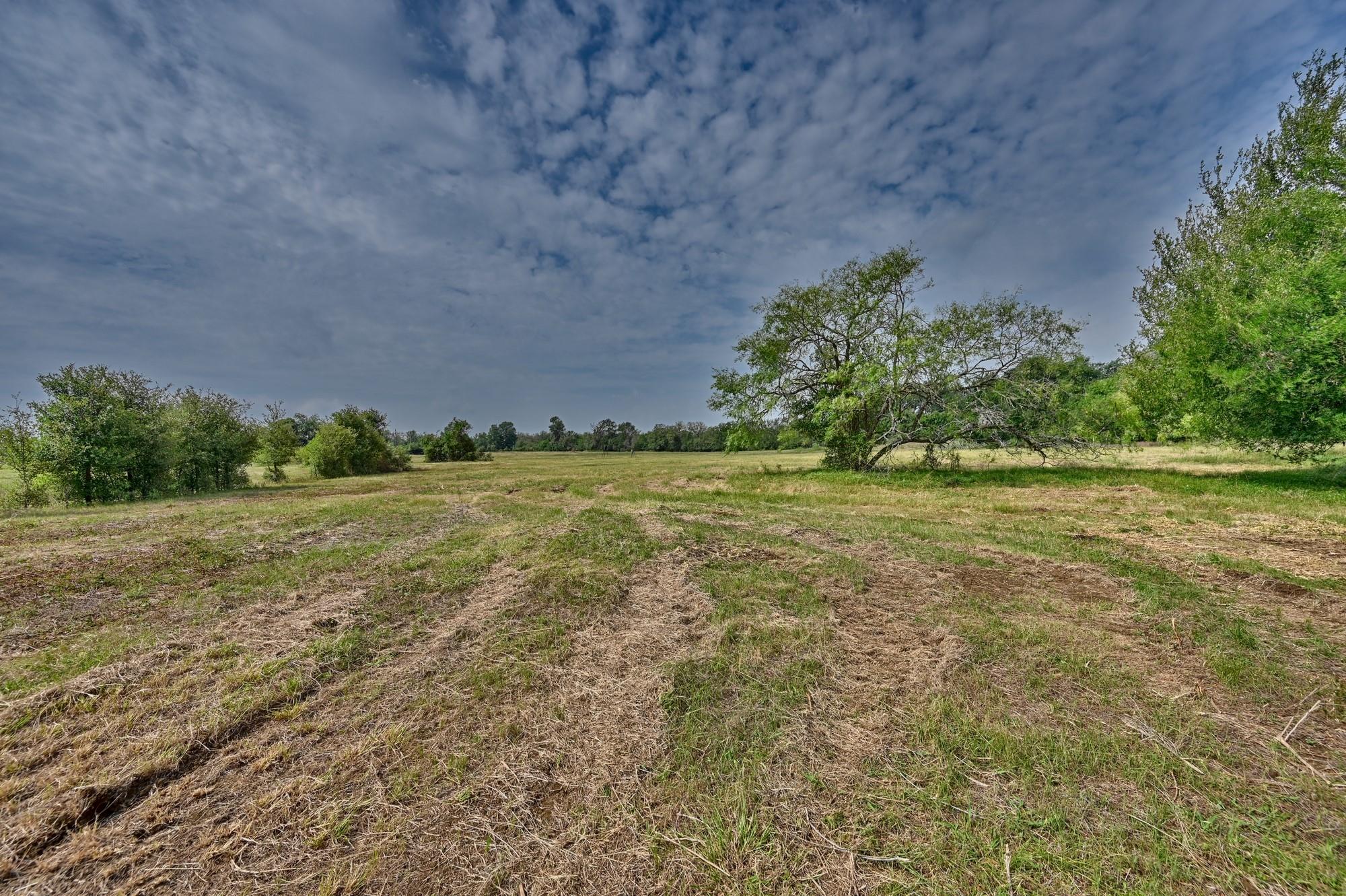 Tbd (14.253 Acres) Lee County Rd Property Photo 1