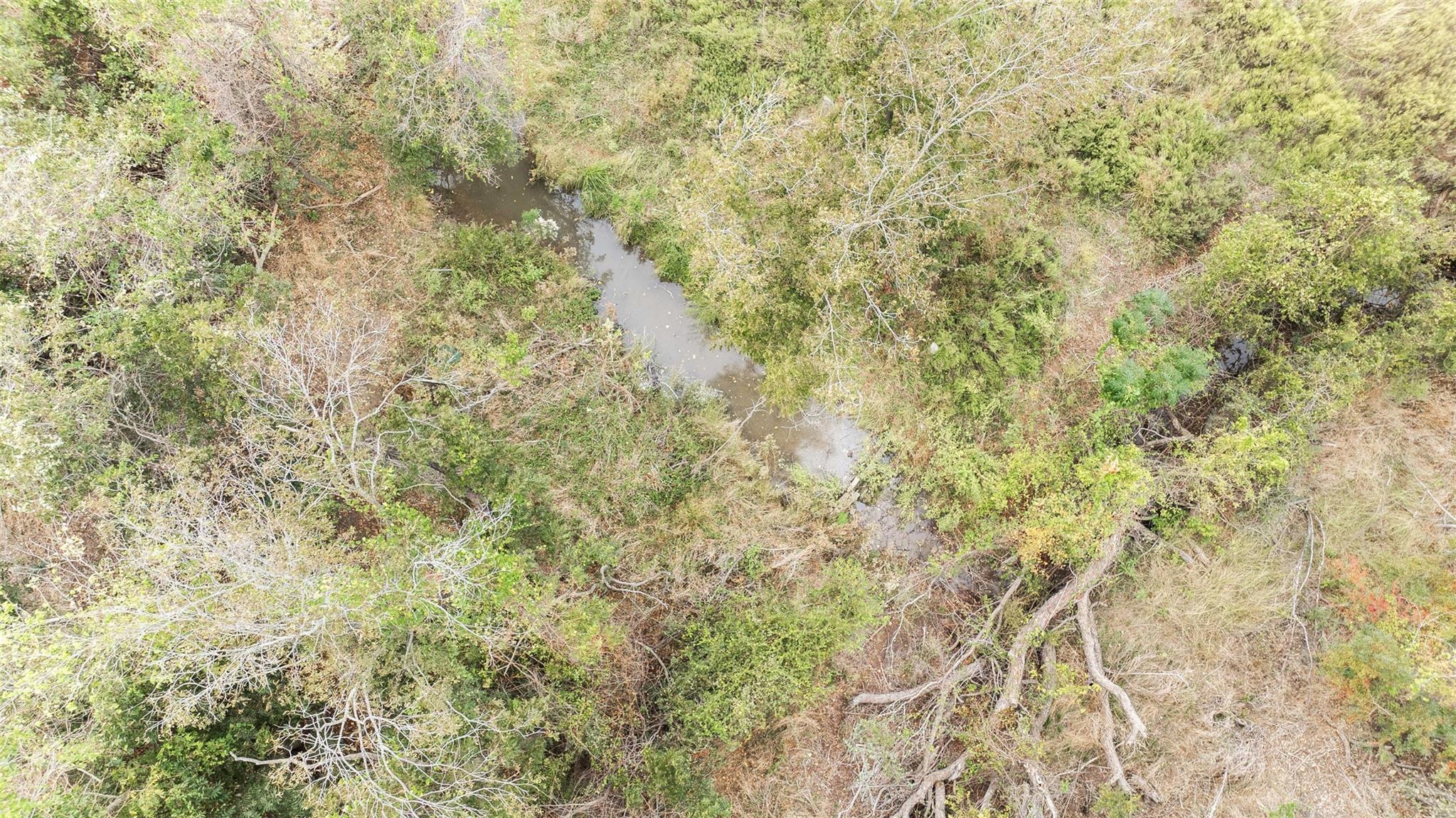 Tbd Fm-2843 None Property Photo 30