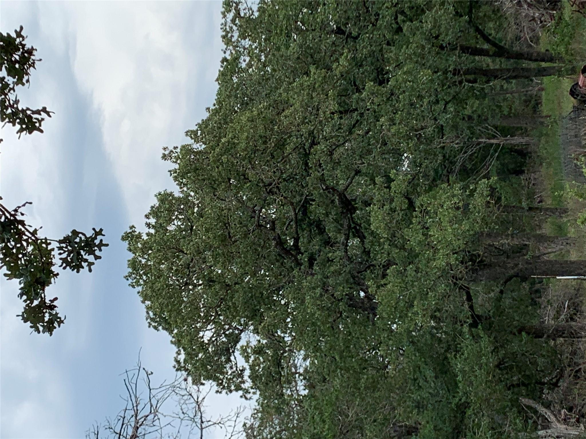 276 Ott Rd Property Photo 17