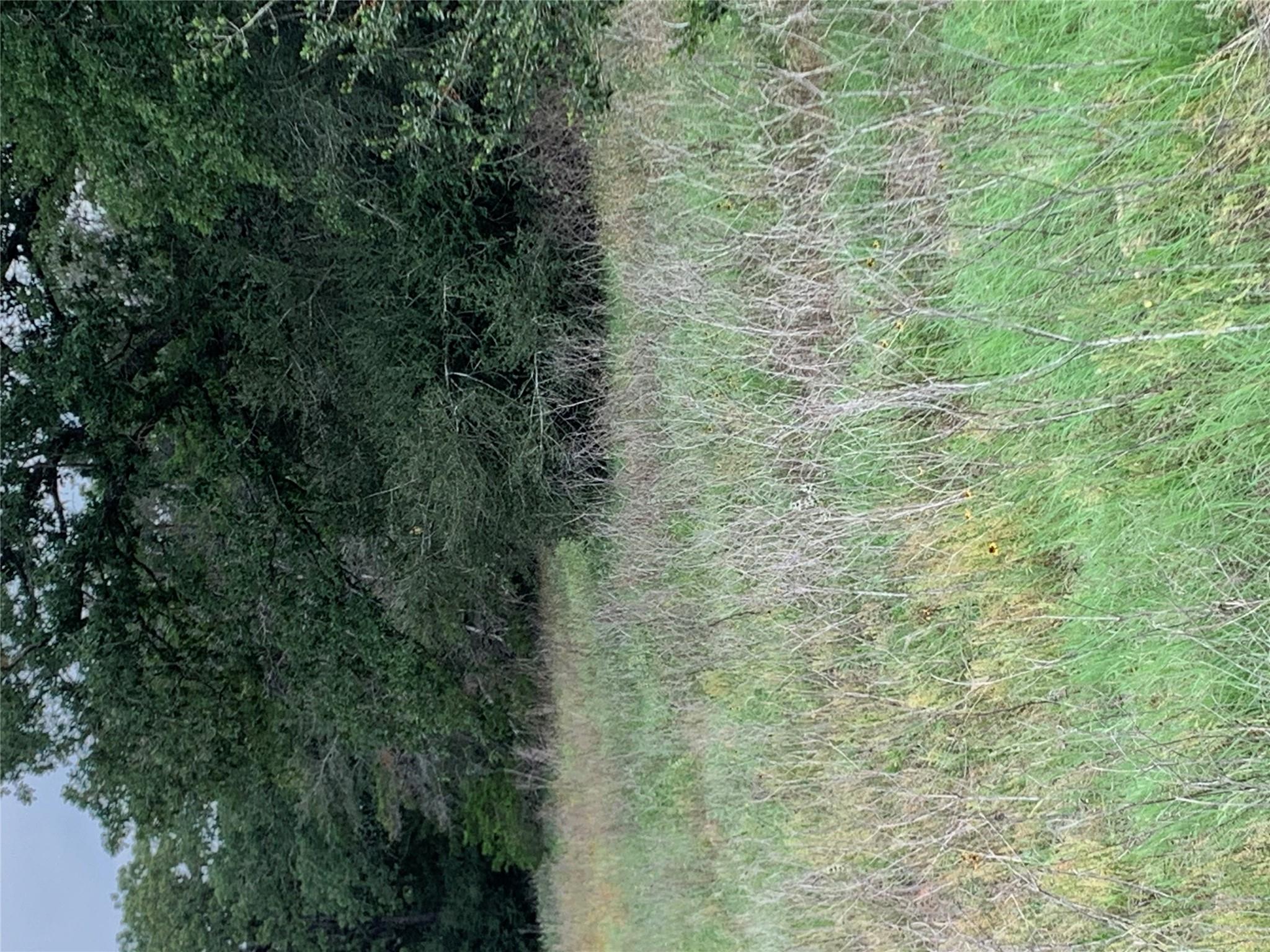 276 Ott Rd Property Photo 23