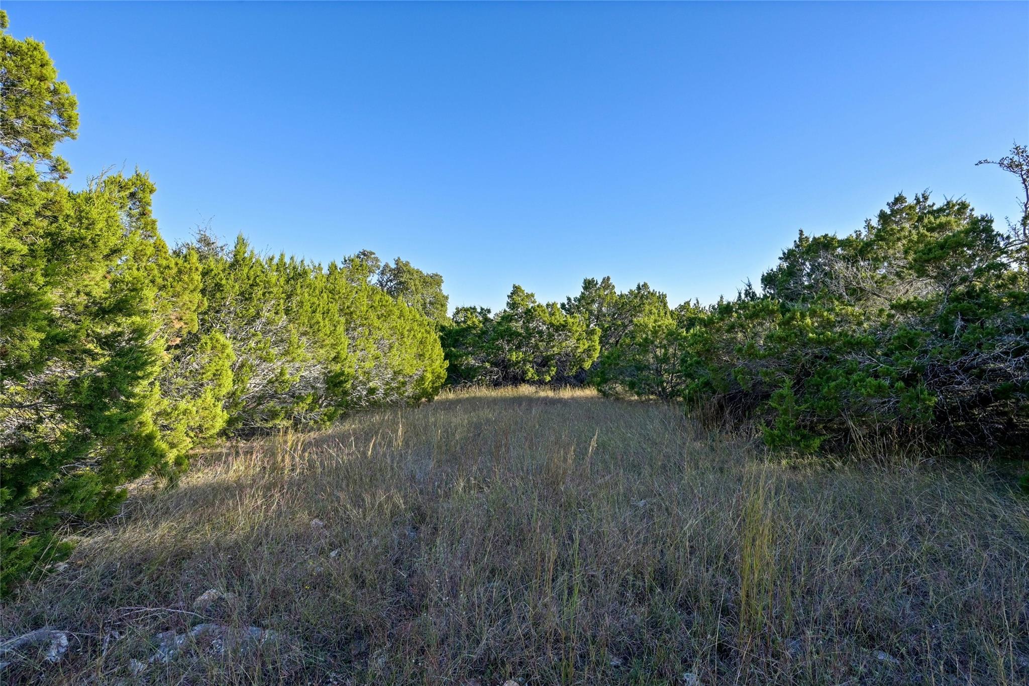 17116 Sagebrook Dr Property Photo 3