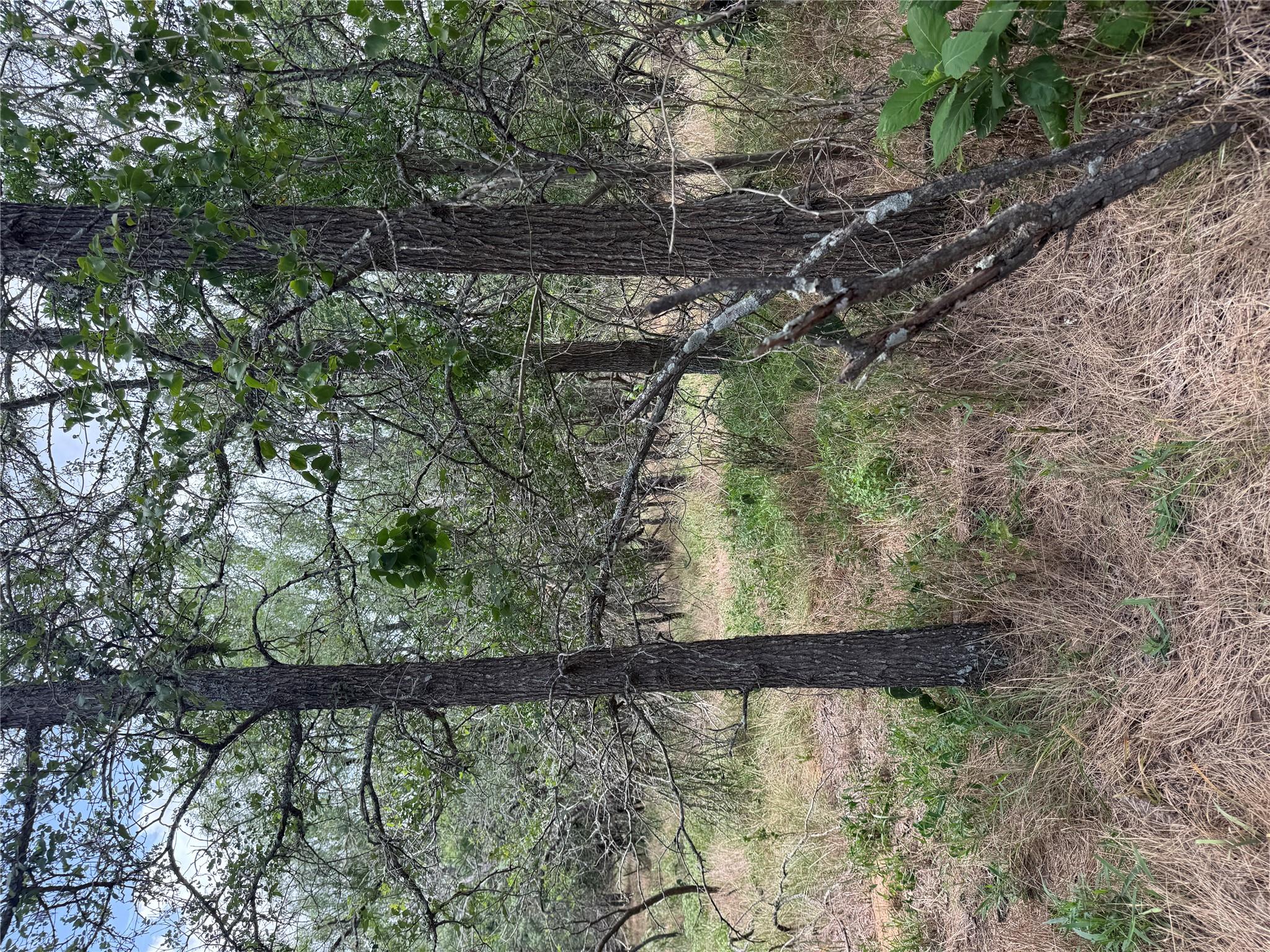Lot 686 Kawainui Ln Property Photo 4