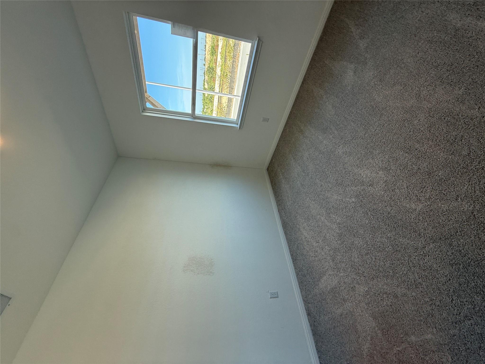 13211 Rindle Reach Dr Property Photo 20