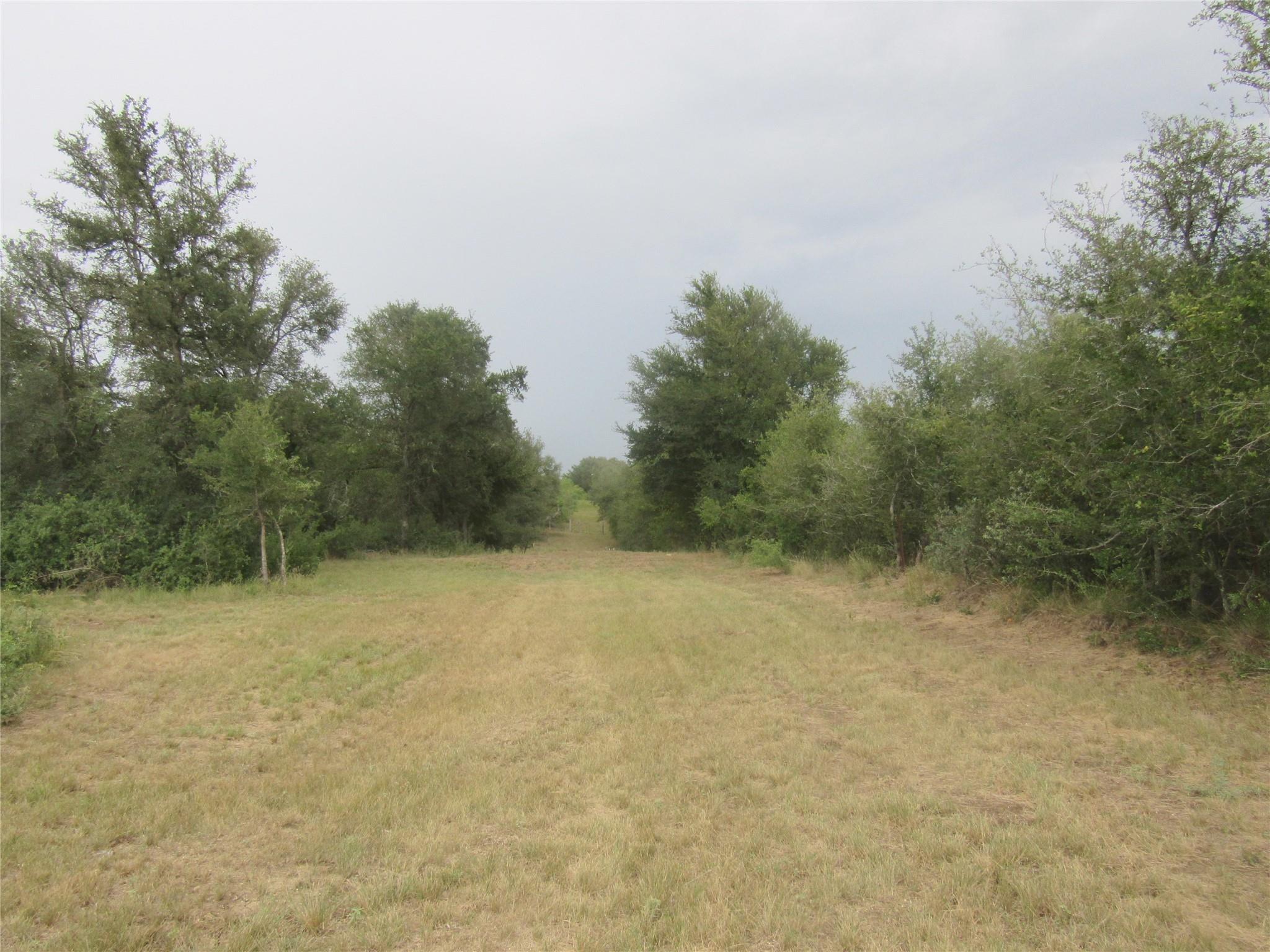353 Littig Rd Property Photo 39