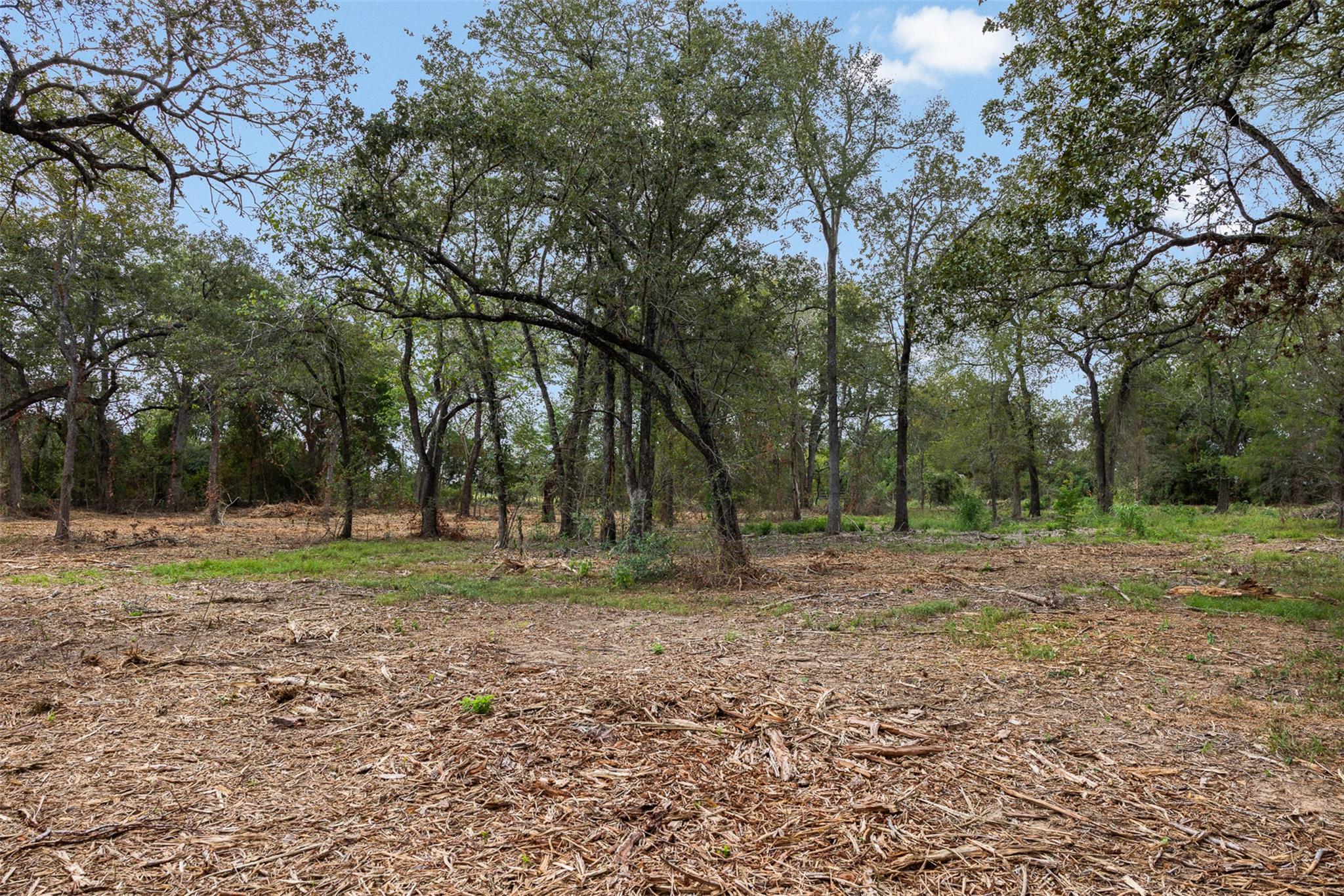 Lot 1 Cr 491 None Property Photo 3