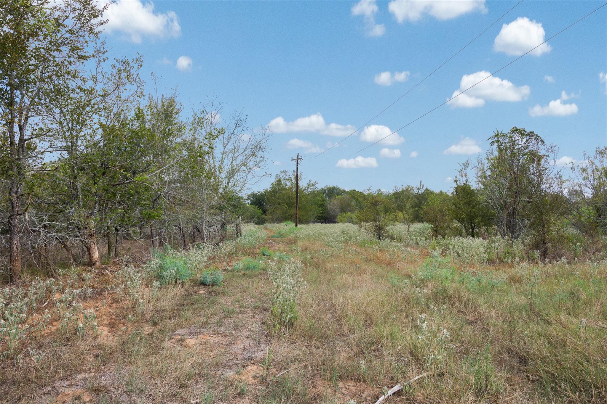 Lot 1 Cr 491 None Property Photo 4