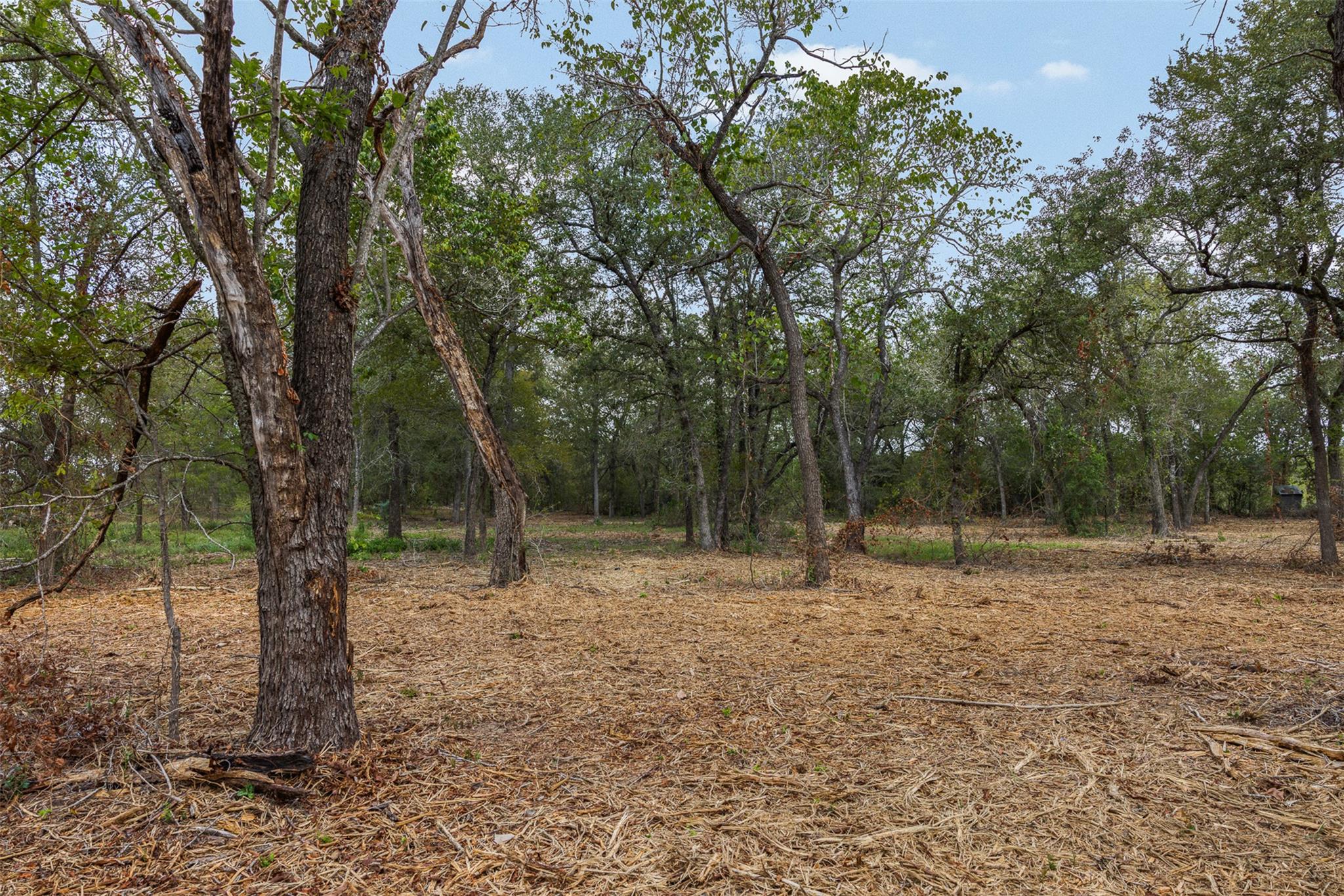 Lot 1 Cr 491 None Property Photo 5