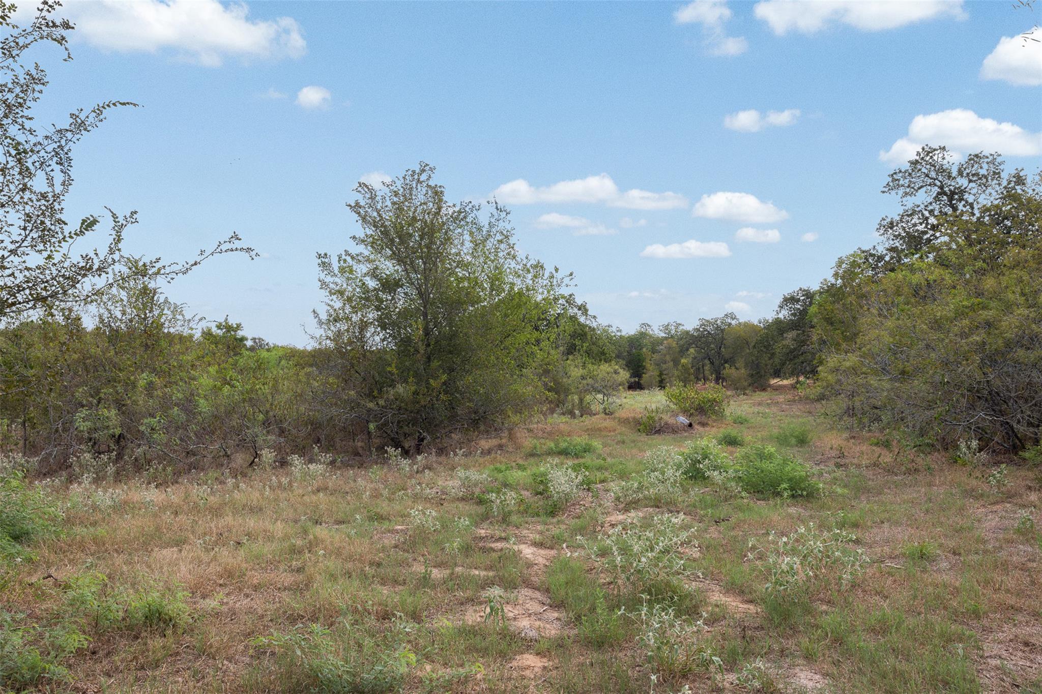 Lot 1 Cr 491 None Property Photo 6