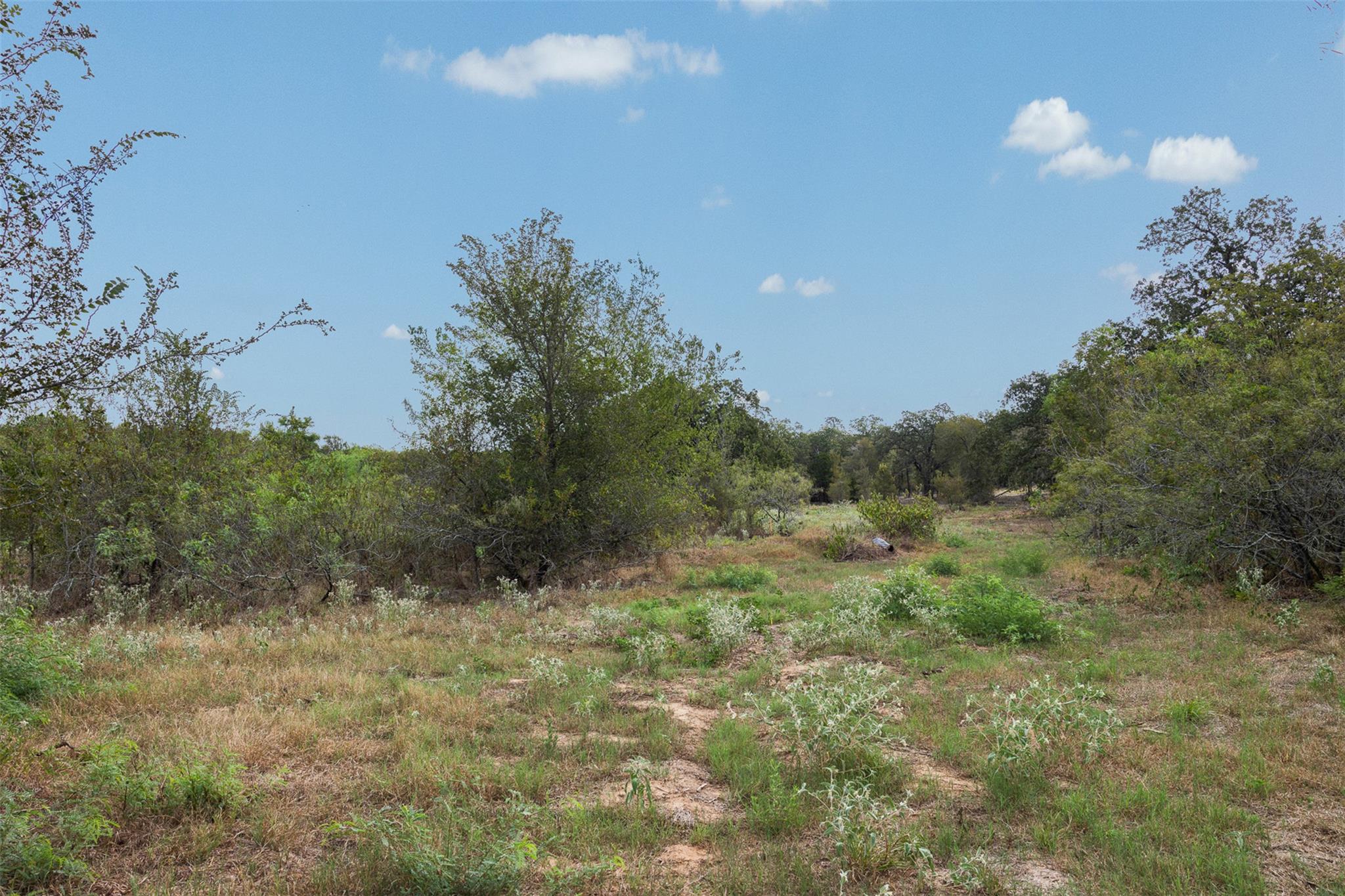 Lot 1 Cr 491 None Property Photo 7