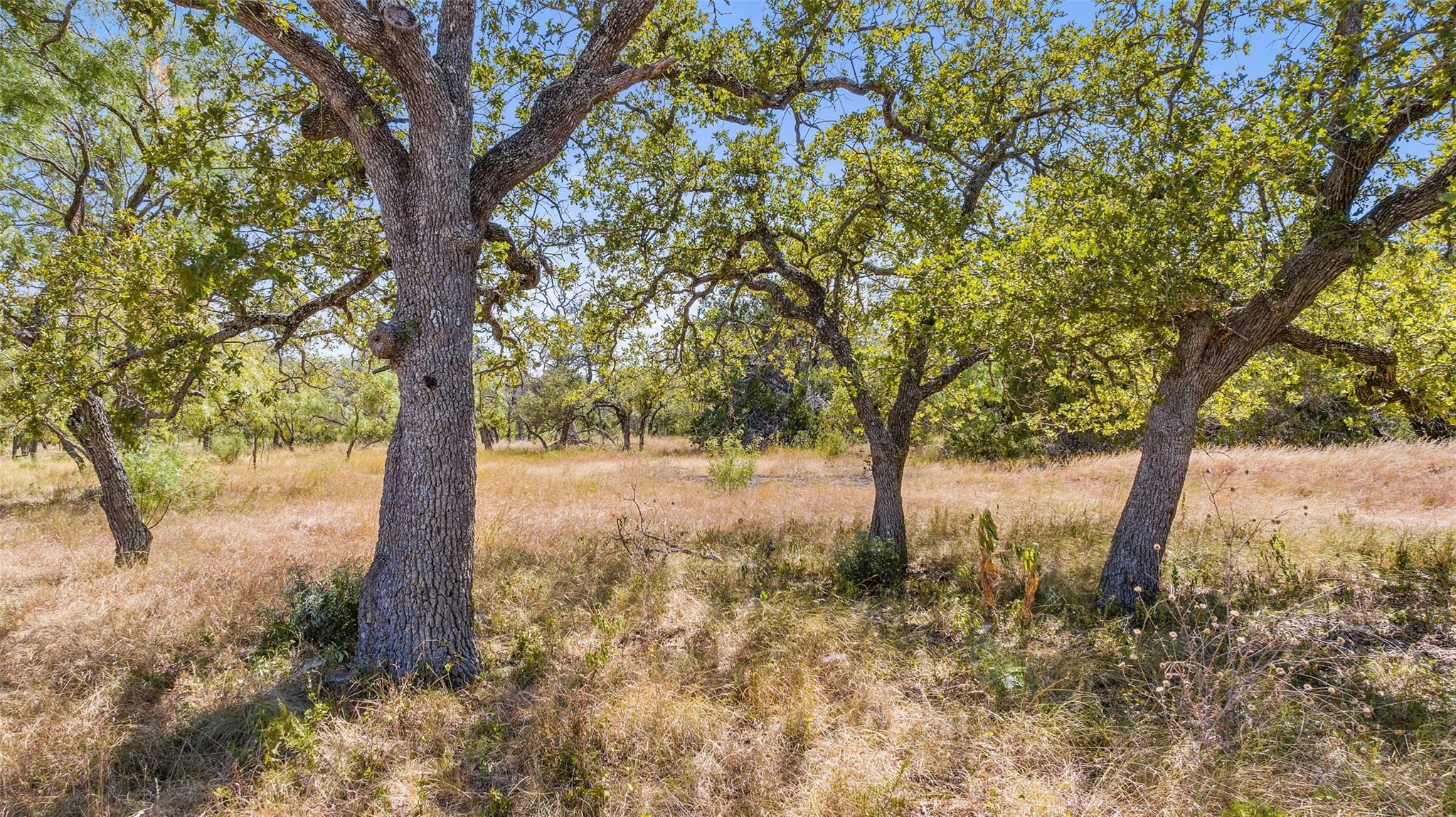 18.145 Acres Herber-schaefer Rd Property Photo 8