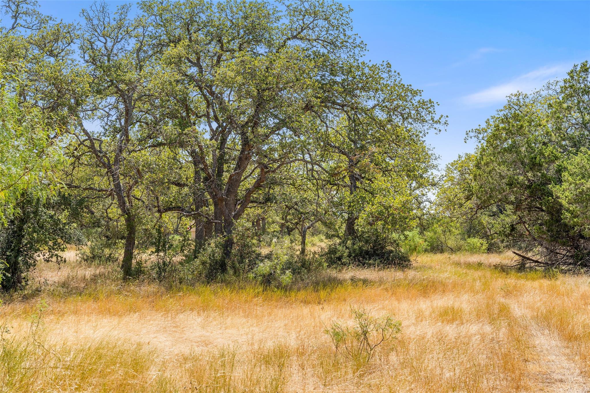 18.145 Acres Herber-schaefer Rd Property Photo 13