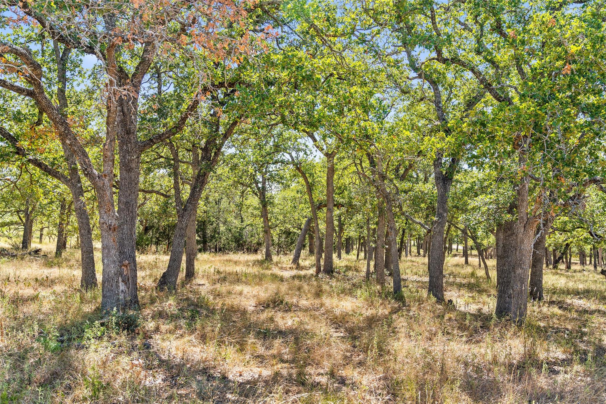 18.145 Acres Herber-schaefer Rd Property Photo 21