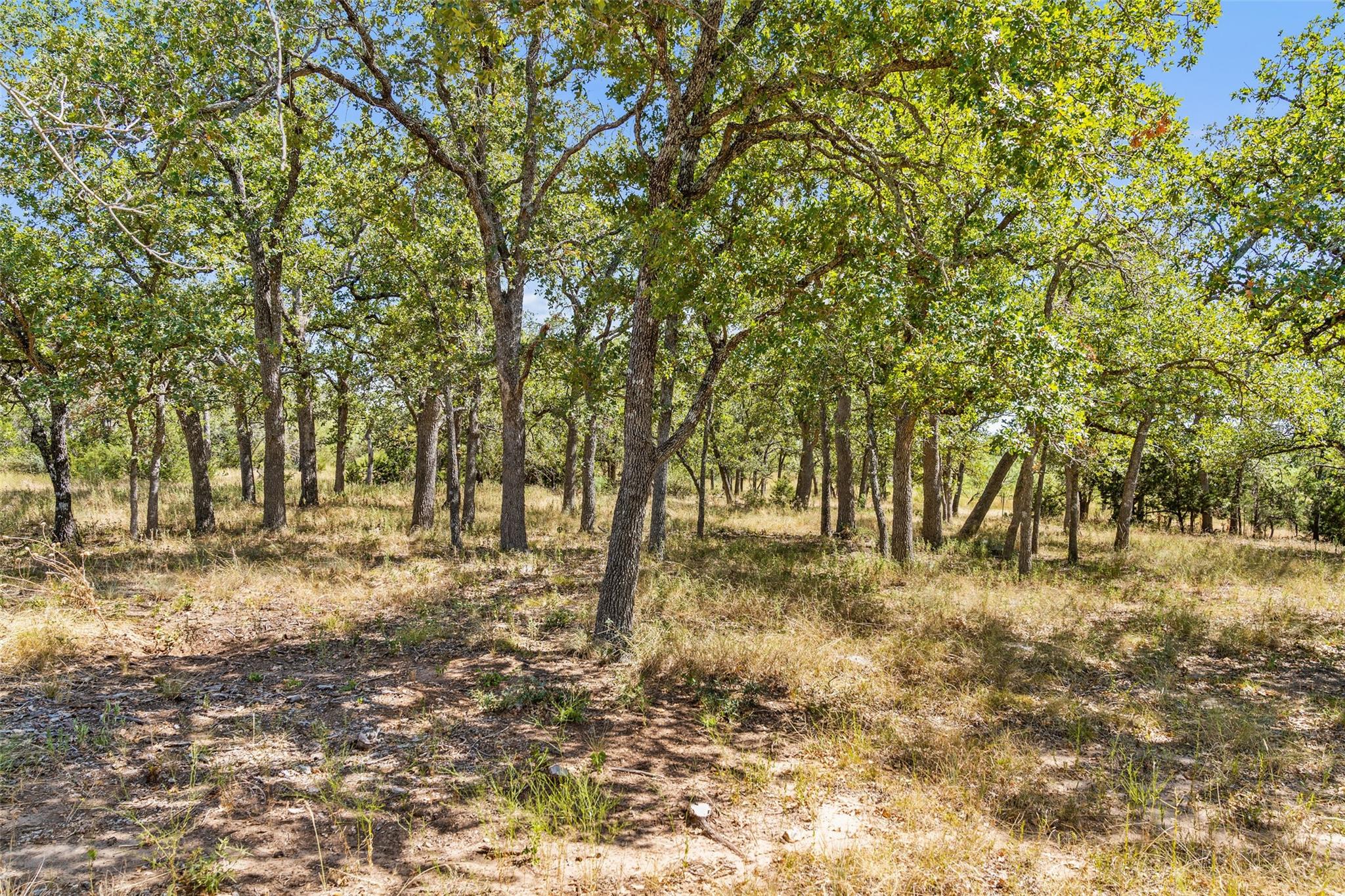 18.145 Acres Herber-schaefer Rd Property Photo 22