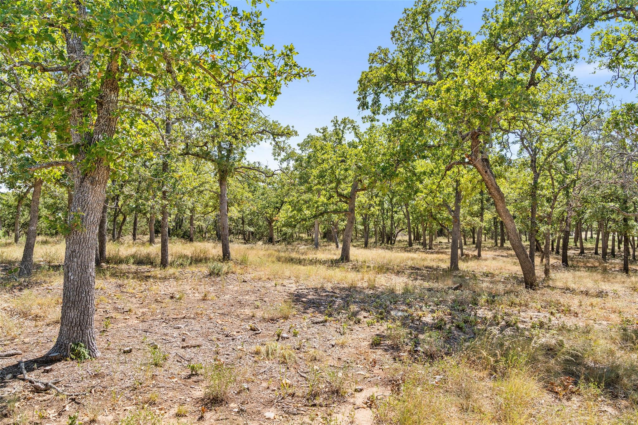 18.145 Acres Herber-schaefer Rd Property Photo 23