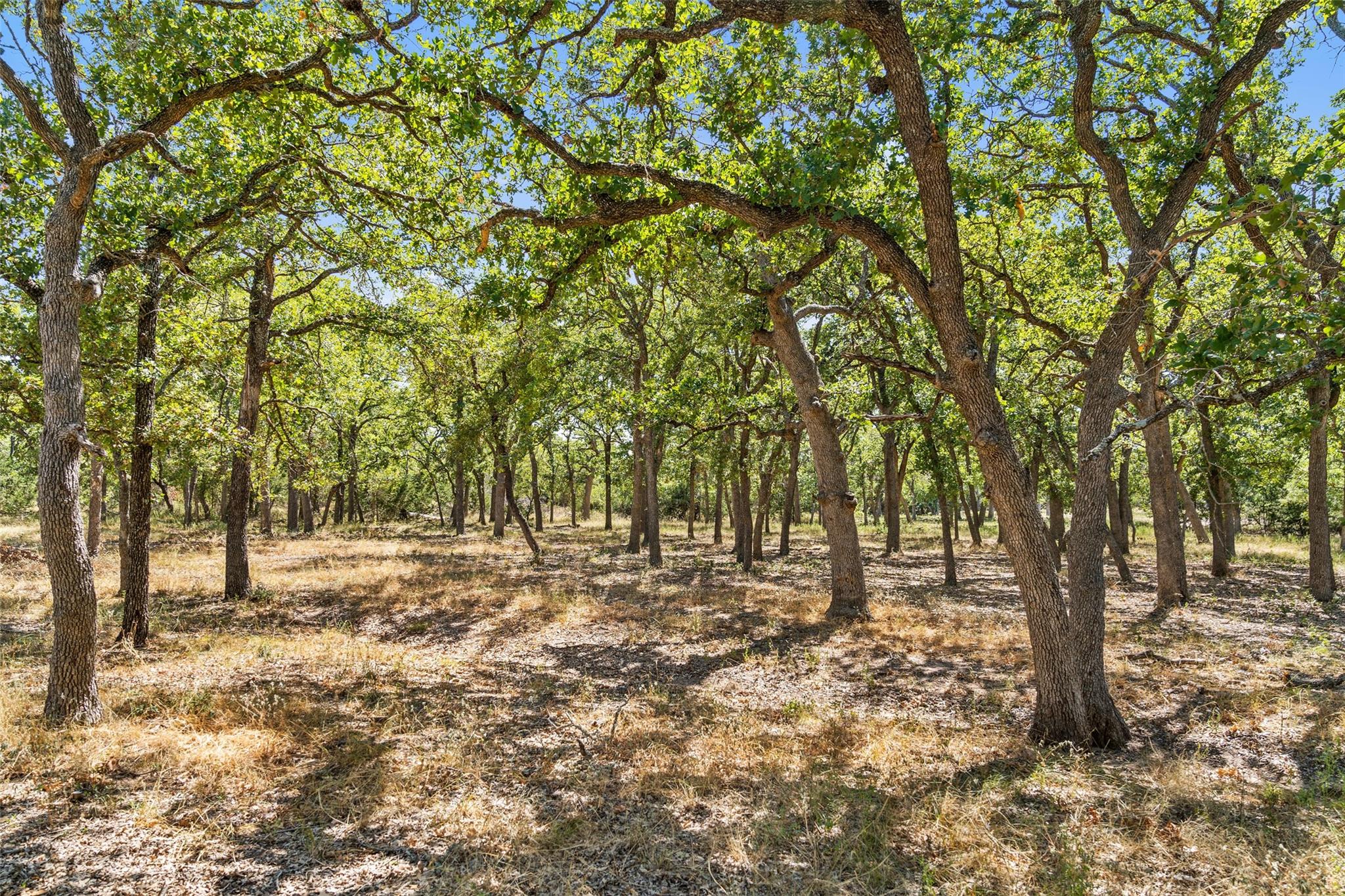 18.145 Acres Herber-schaefer Rd Property Photo 26