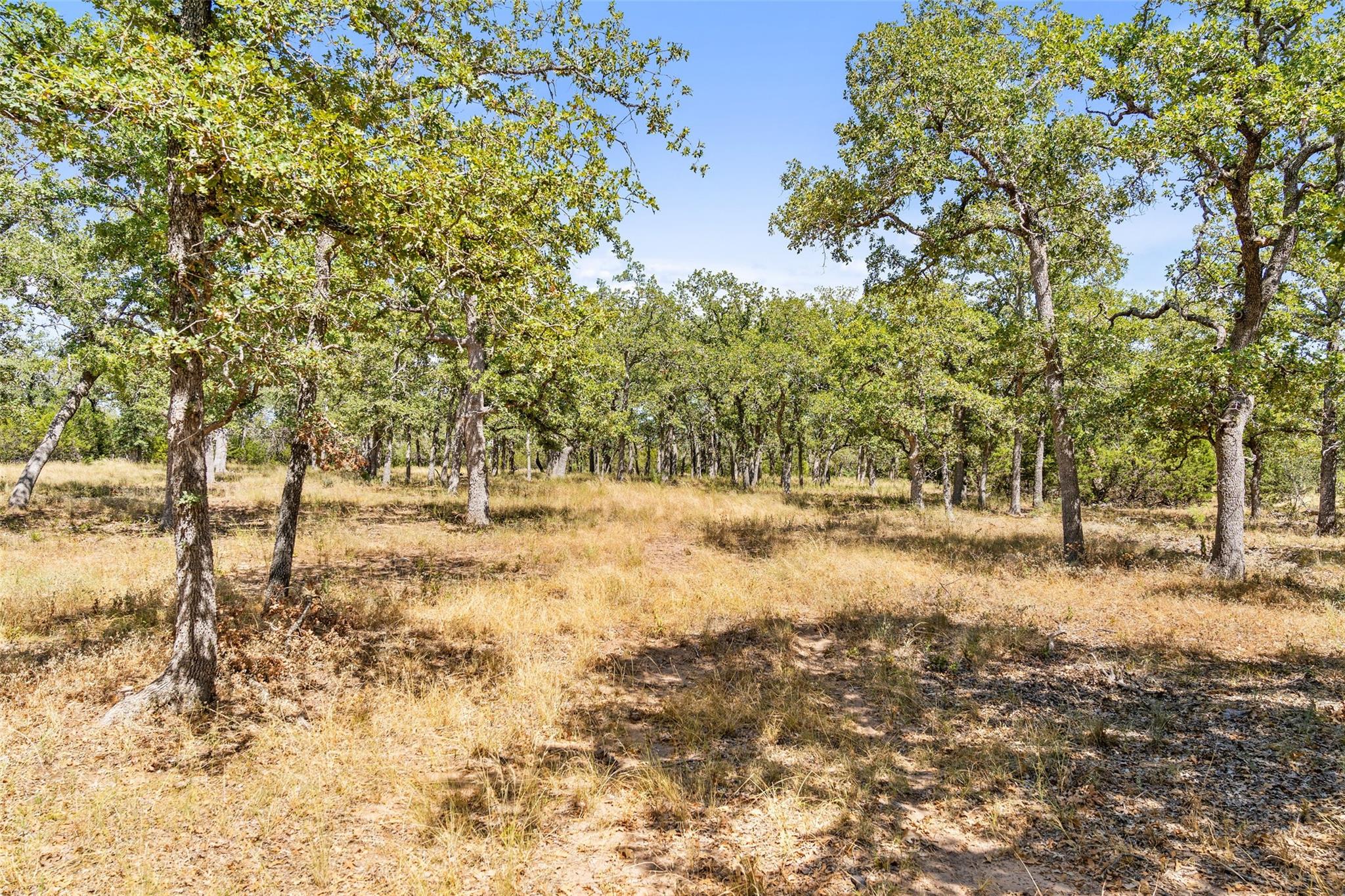 18.145 Acres Herber-schaefer Rd Property Photo 27