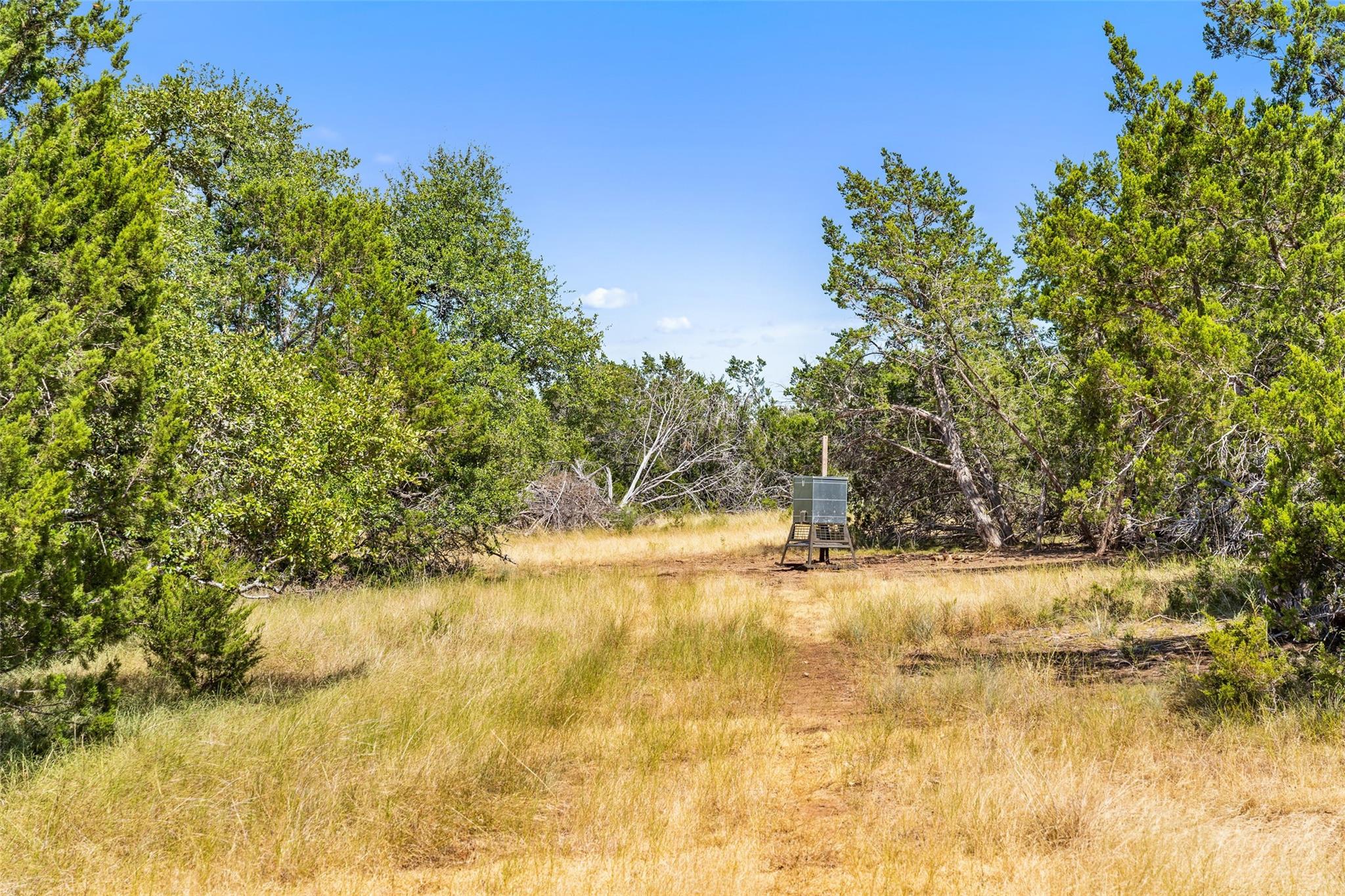 18.145 Acres Herber-schaefer Rd Property Photo 28